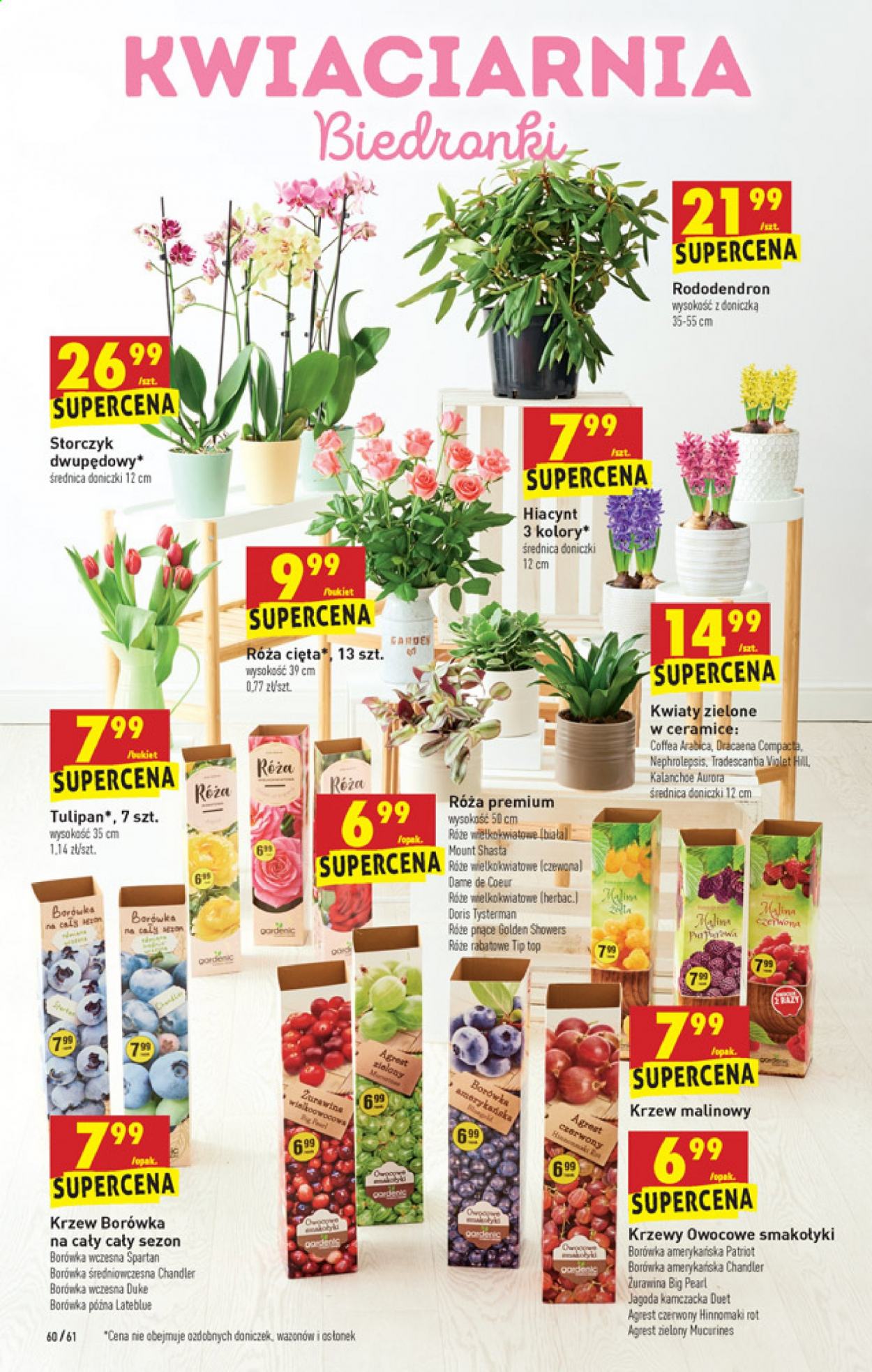 Gazetka Biedronka - 18.03.2021 - 24.03.2021. Strona 60
