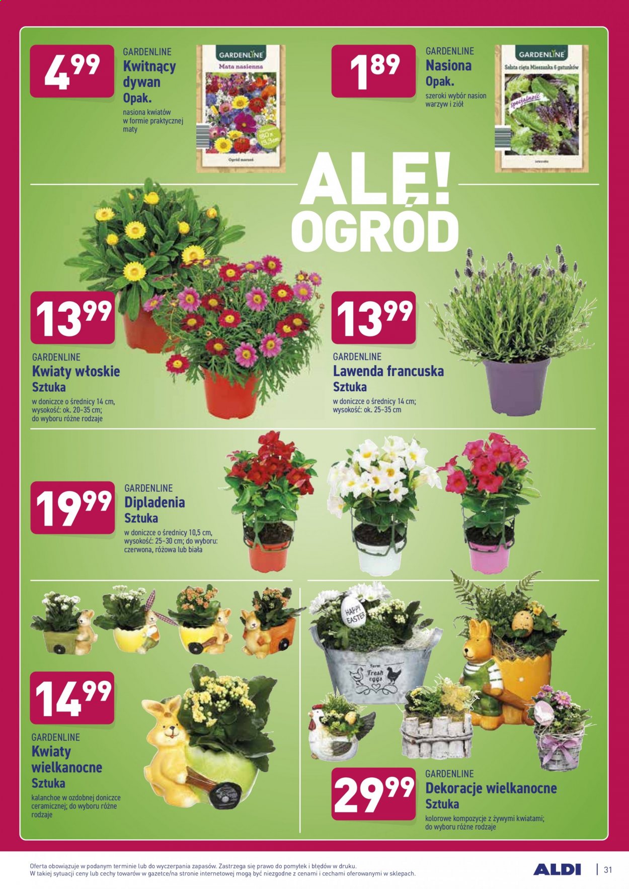 Gazetka ALDI - 22.03.2021 - 28.03.2021. Strona 31