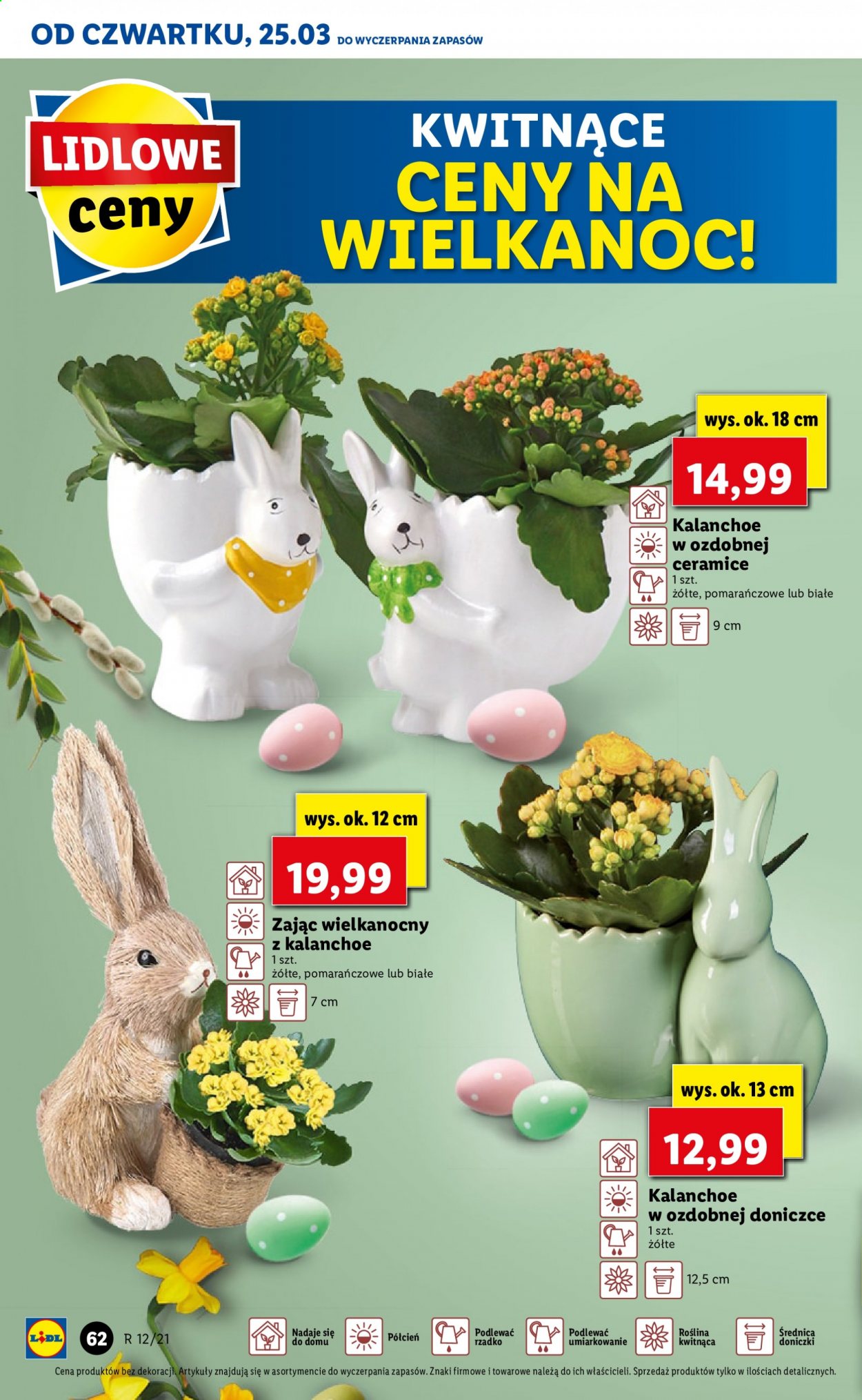Gazetka Lidl - 25.03.2021 - 28.03.2021. Strona 62