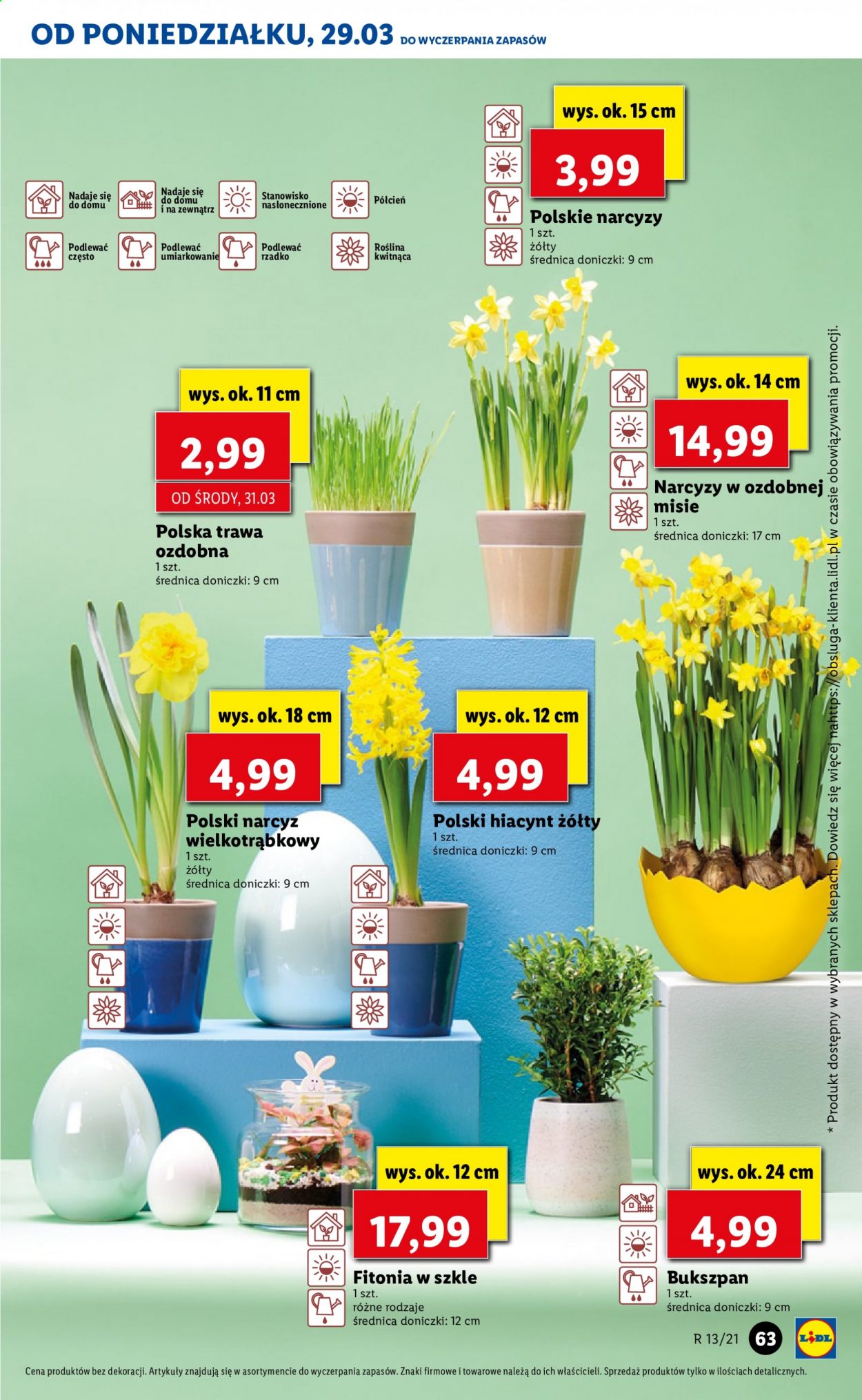 Gazetka Lidl - 29.03.2021 - 31.03.2021. Strona 63