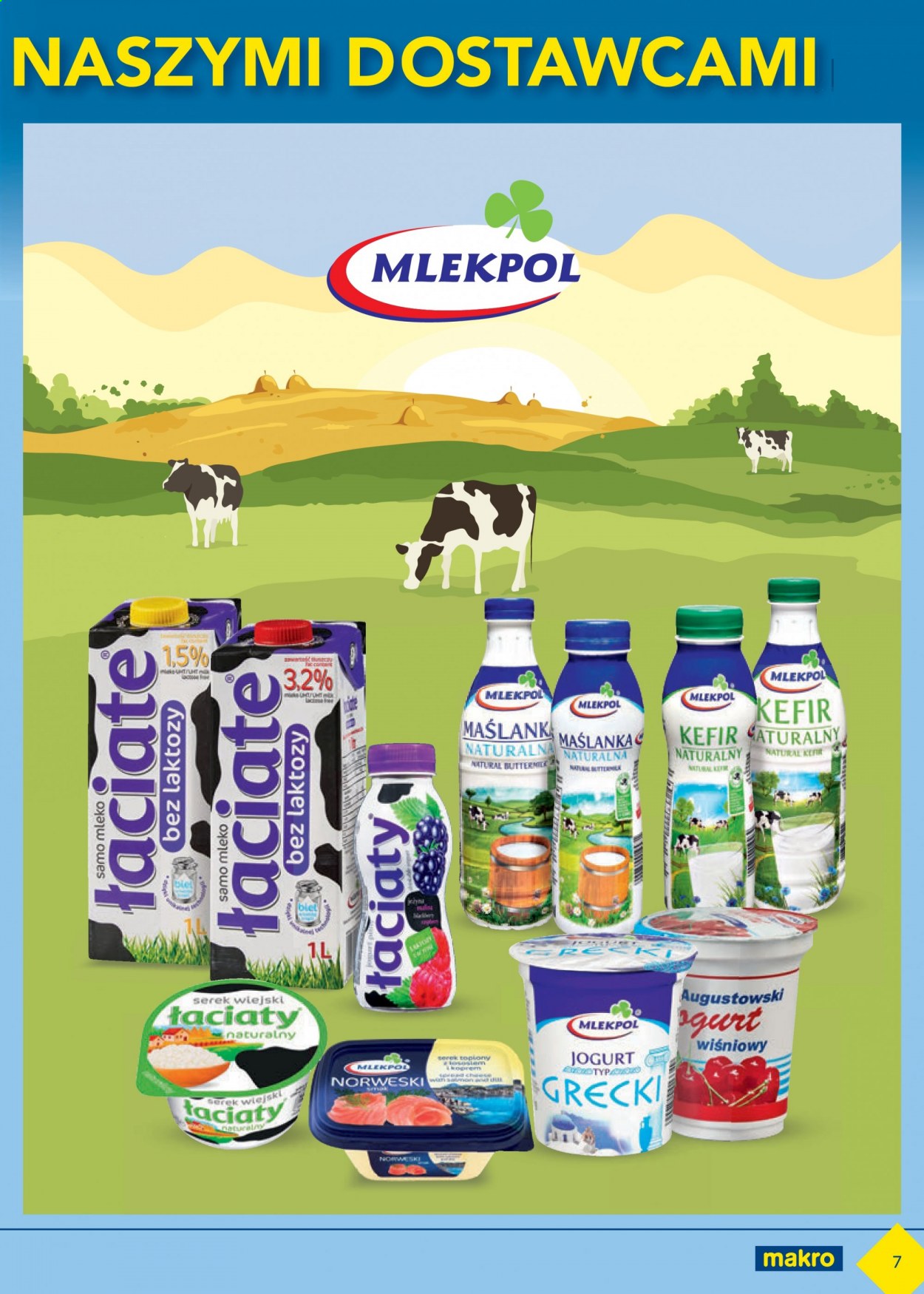 Gazetka Makro - 23.03.2021 - 19.04.2021. Strona 7