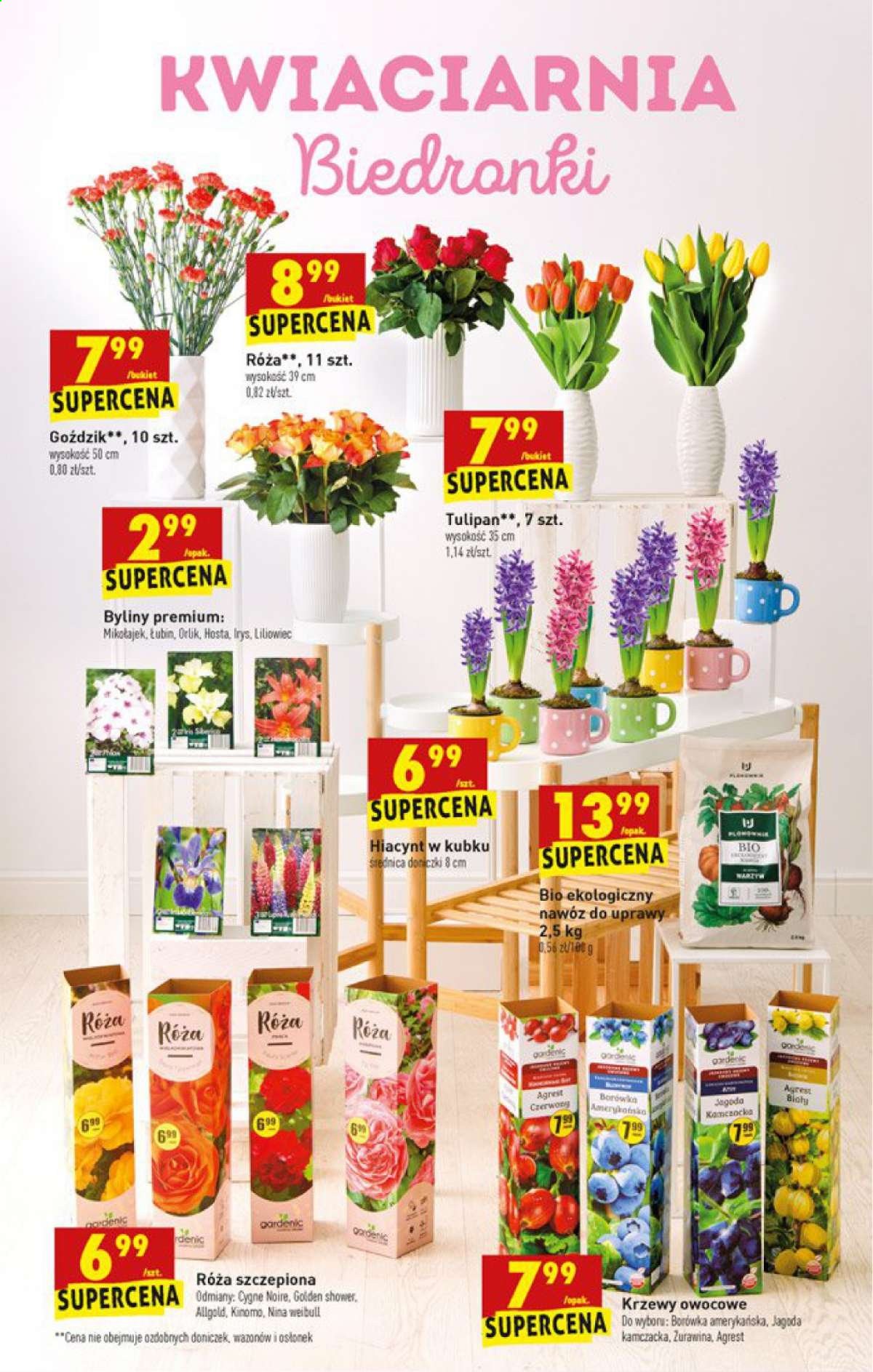 Gazetka Biedronka - 5.04.2021 - 5.04.2021. Strona 53
