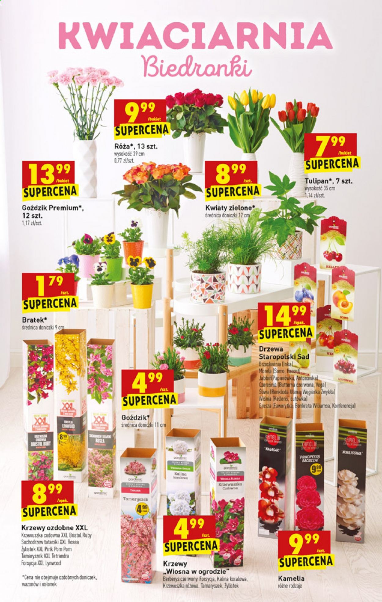 Gazetka Biedronka - 8.04.2021 - 14.04.2021. Strona 45