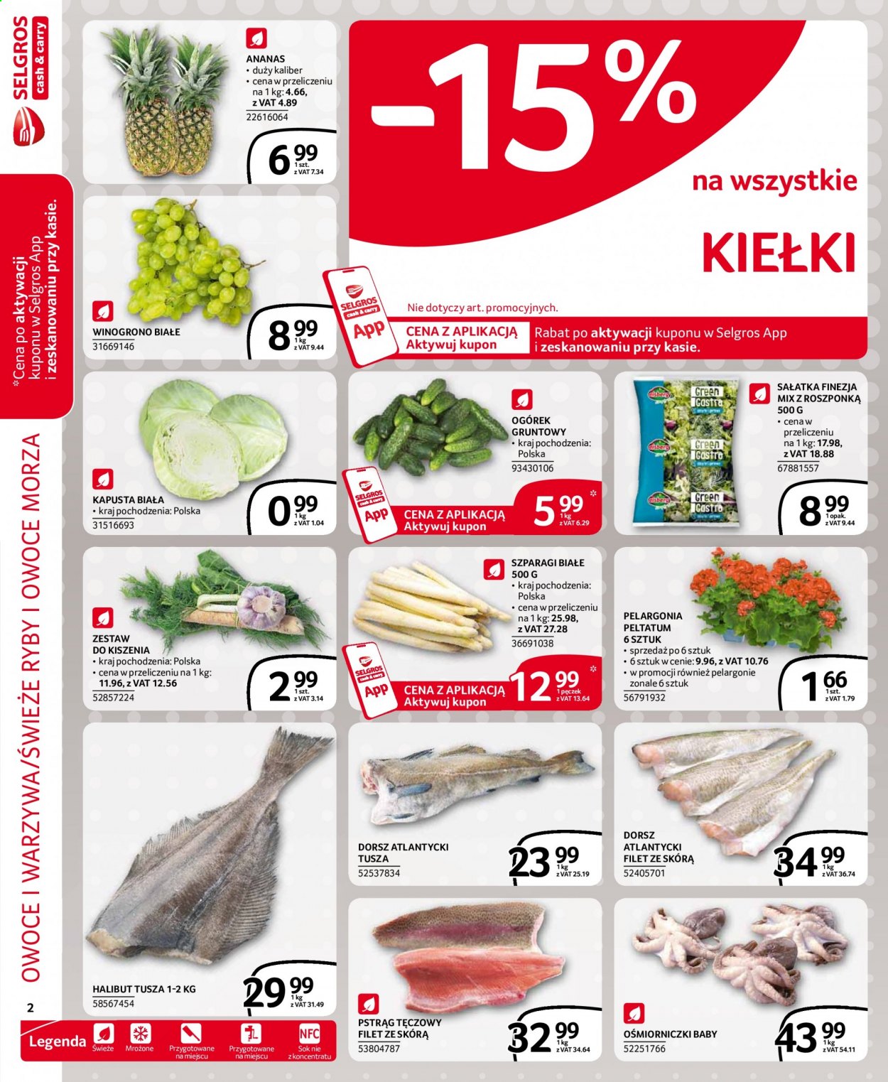 Gazetka Selgros - 15.04.2021 - 28.04.2021. Strona 2