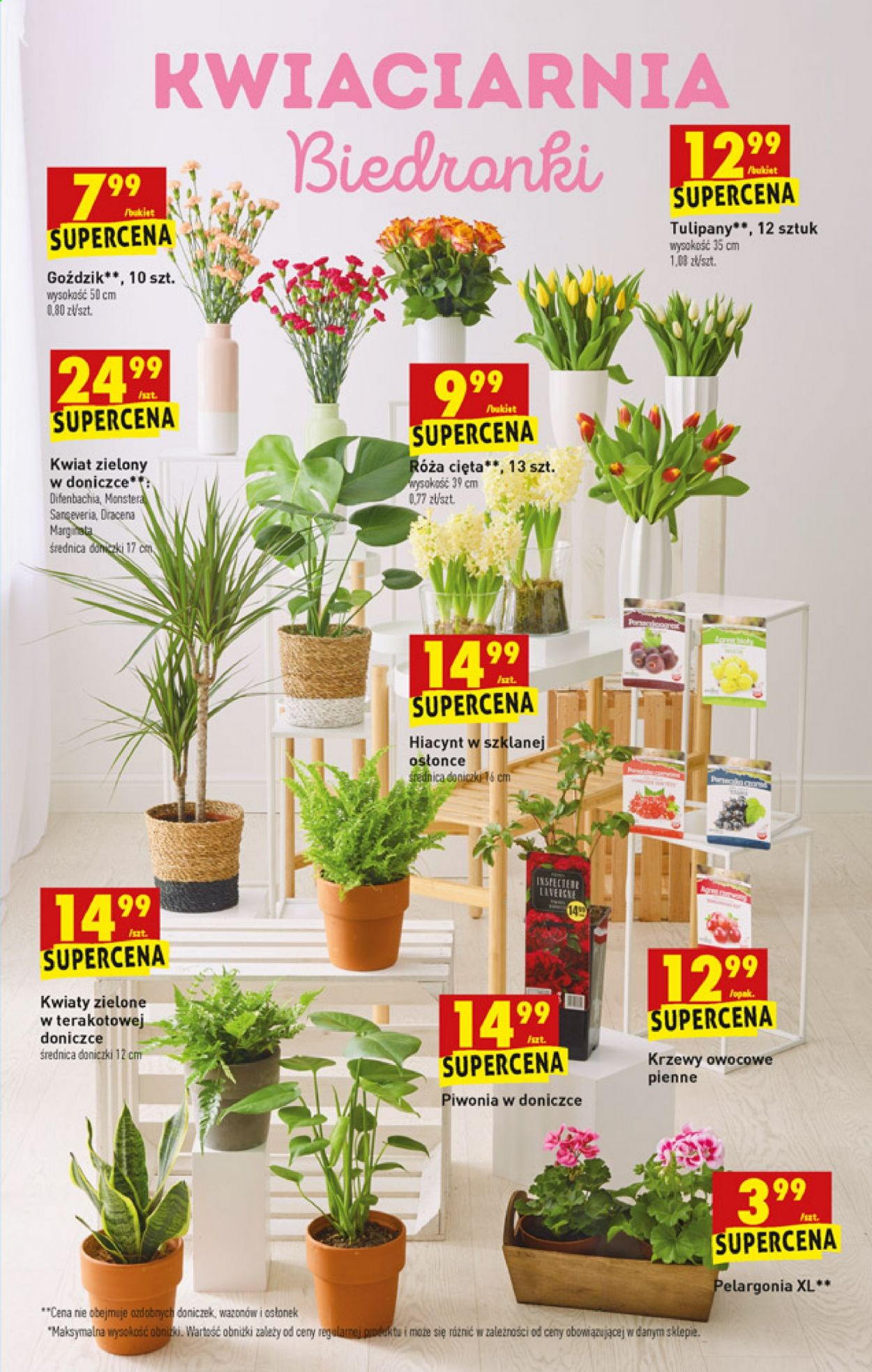 Gazetka Biedronka - 12.04.2021 - 17.04.2021. Strona 53