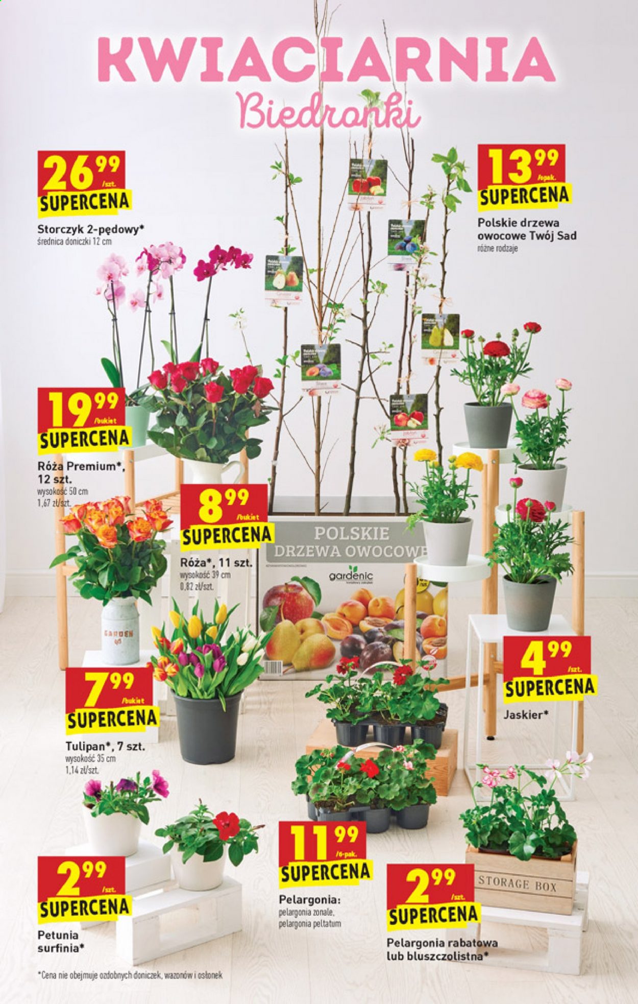 Gazetka Biedronka - 15.04.2021 - 21.04.2021. Strona 53