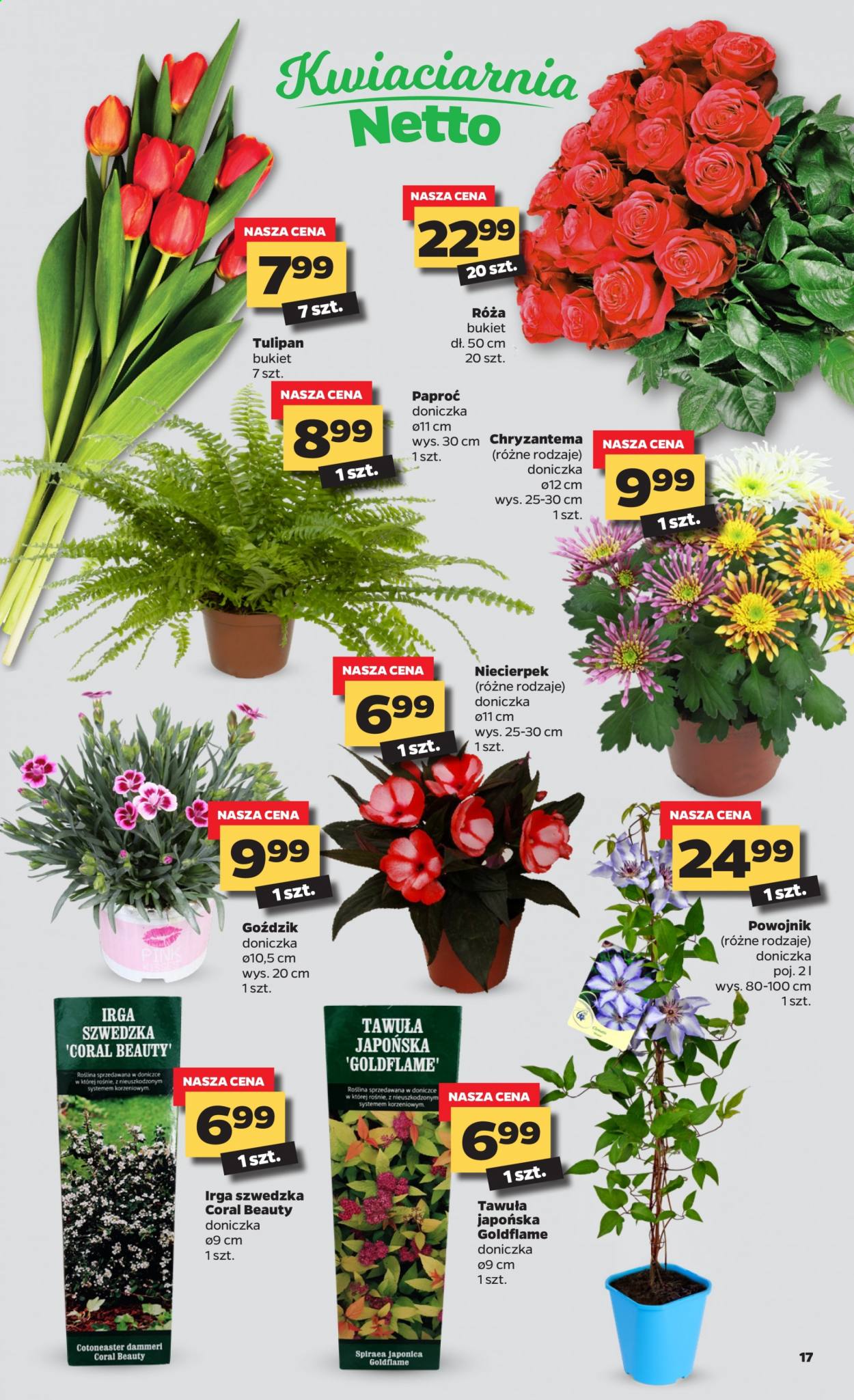 Gazetka Netto - 19.04.2021 - 25.04.2021. Strona 17