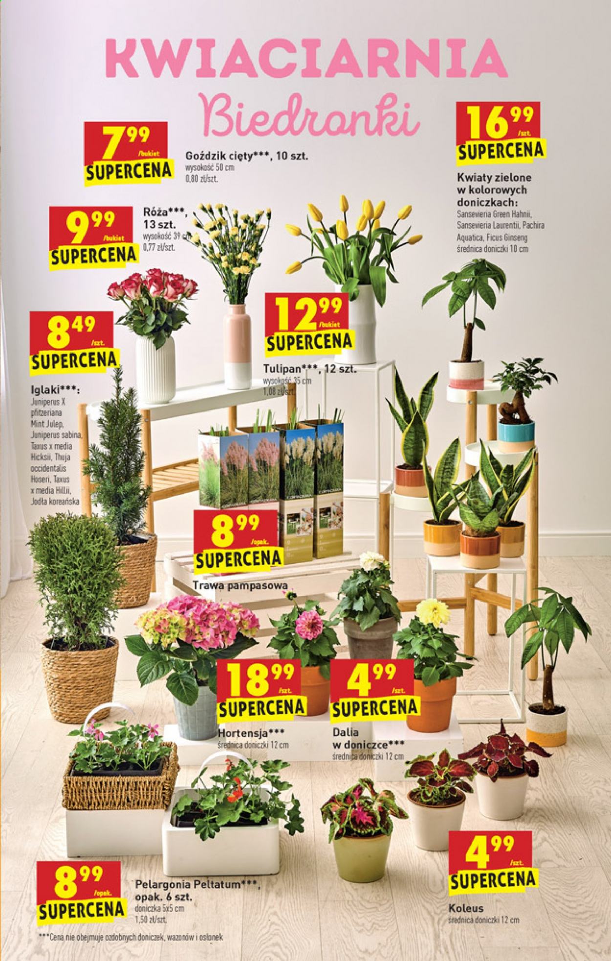 Gazetka Biedronka - 19.04.2021 - 25.04.2021. Strona 53