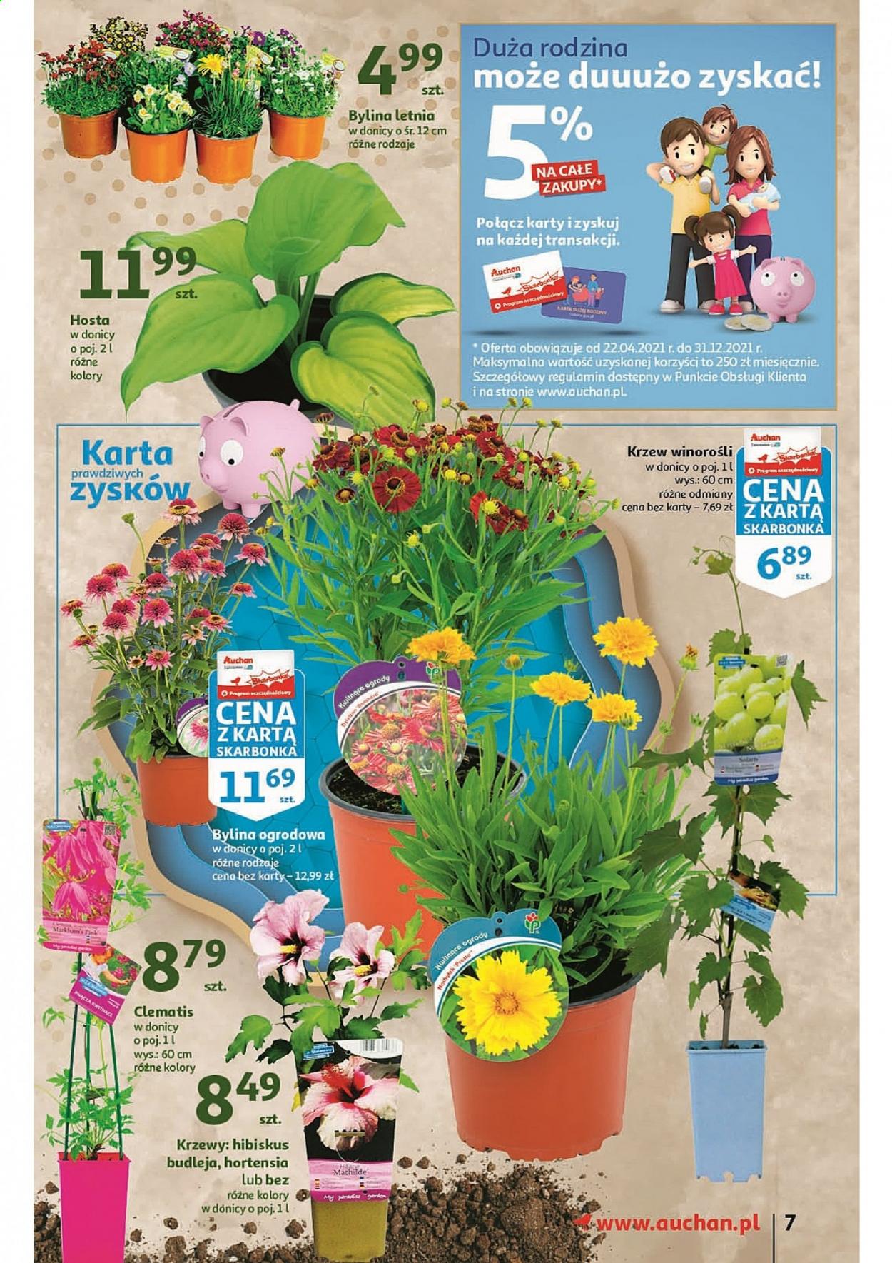 Gazetka Auchan - 22.04.2021 - 4.05.2021. Strona 7