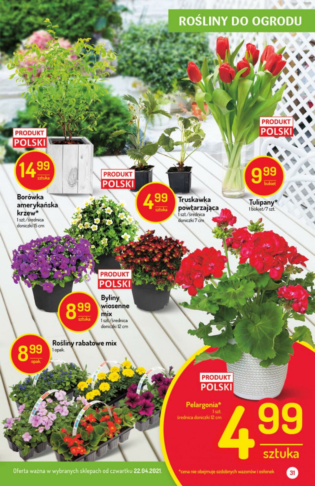 Gazetka Delikatesy Centrum - 22.04.2021 - 28.04.2021. Strona 31