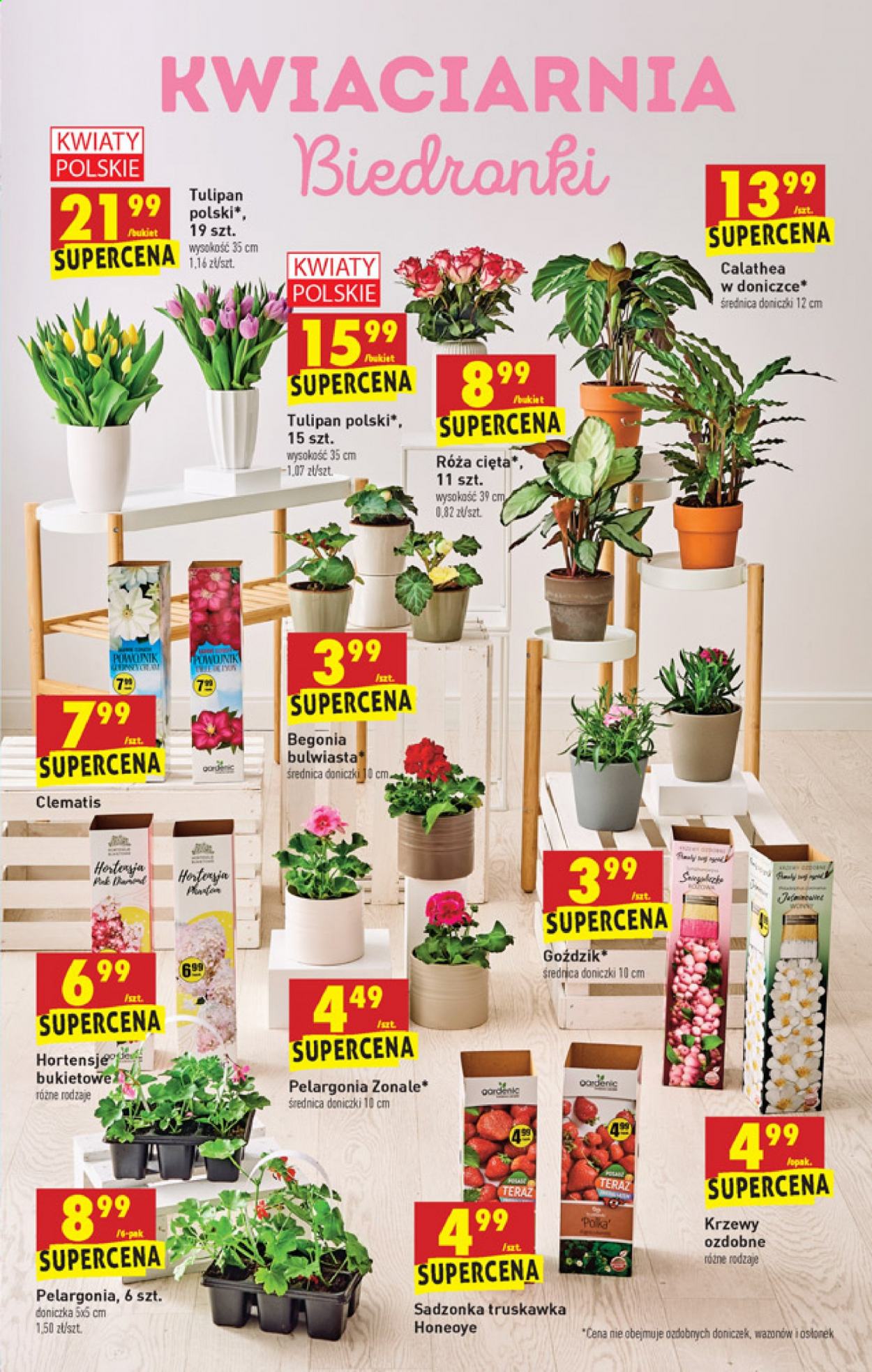 Gazetka Biedronka - 22.04.2021 - 28.04.2021. Strona 61