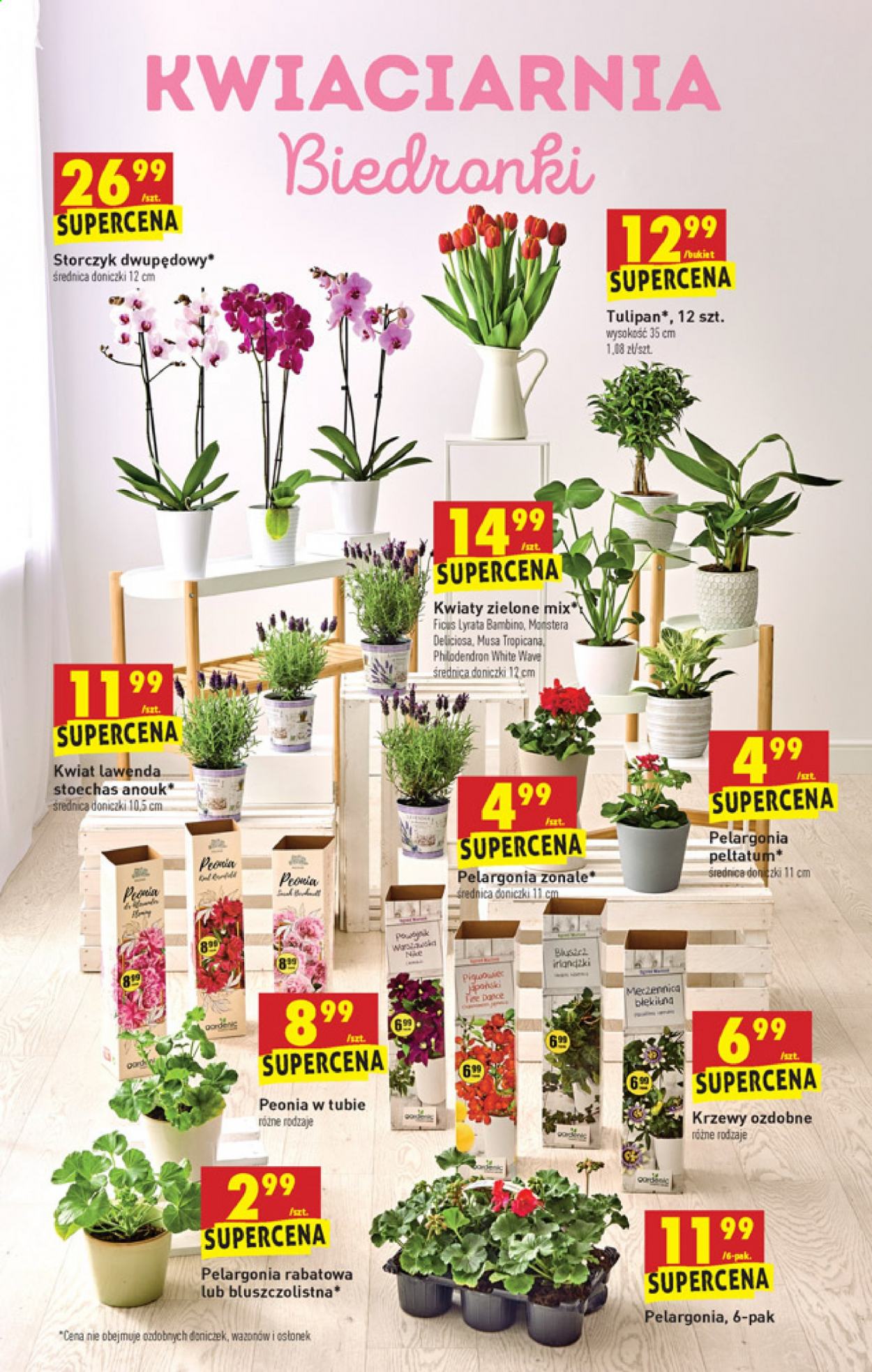 Gazetka Biedronka - 26.04.2021 - 30.04.2021. Strona 13