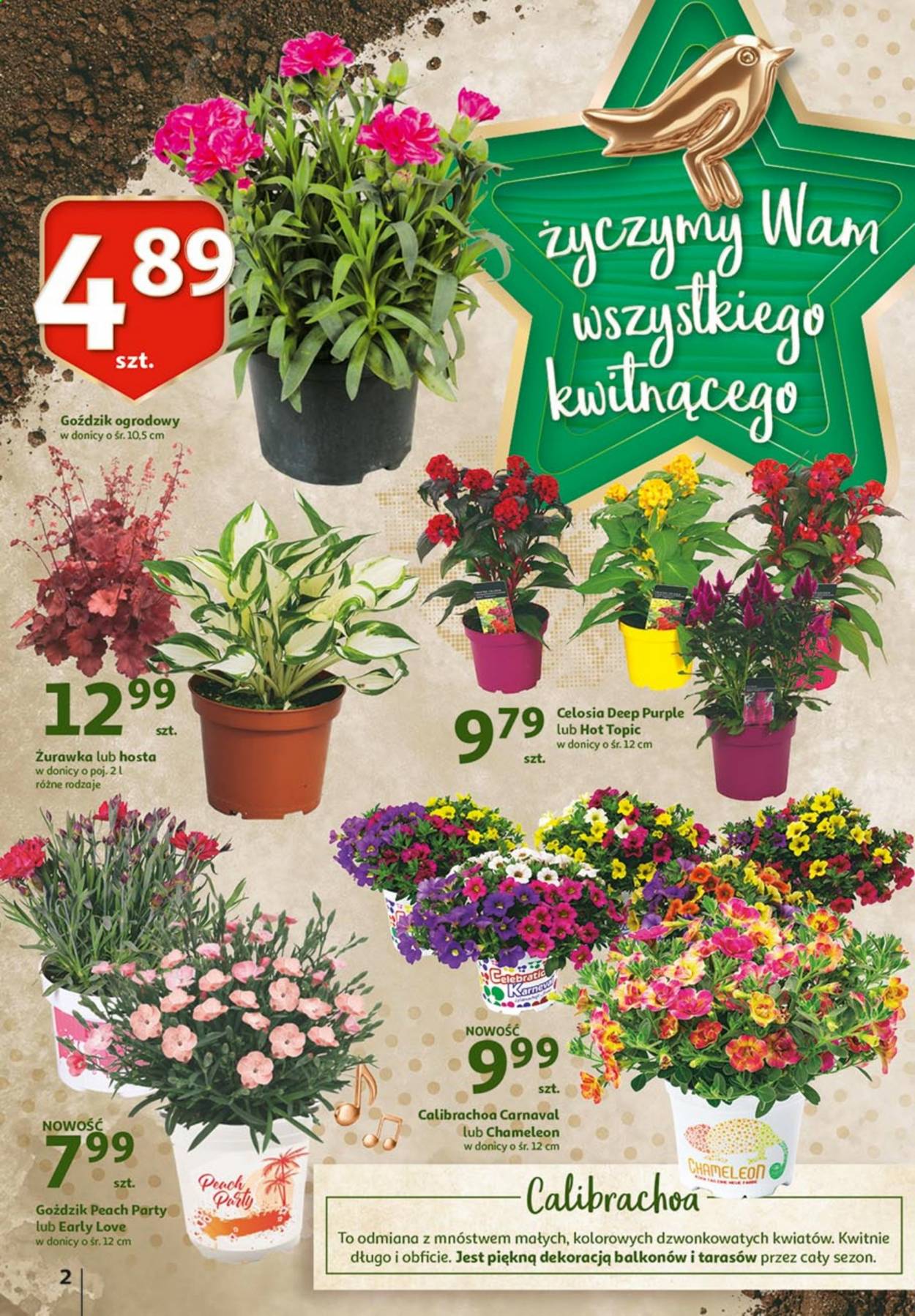 Gazetka Auchan - 6.05.2021 - 15.05.2021. Strona 2