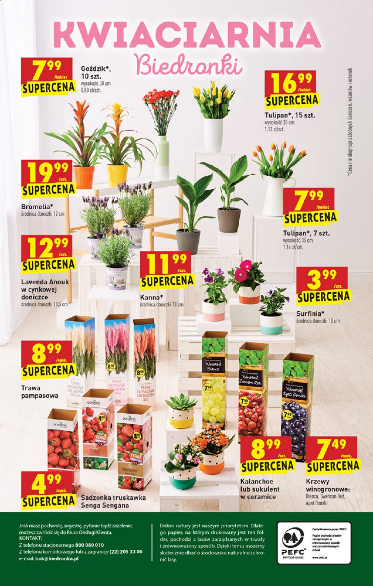 Gazetka Biedronka - 6.05.2021 - 12.05.2021. Strona 56