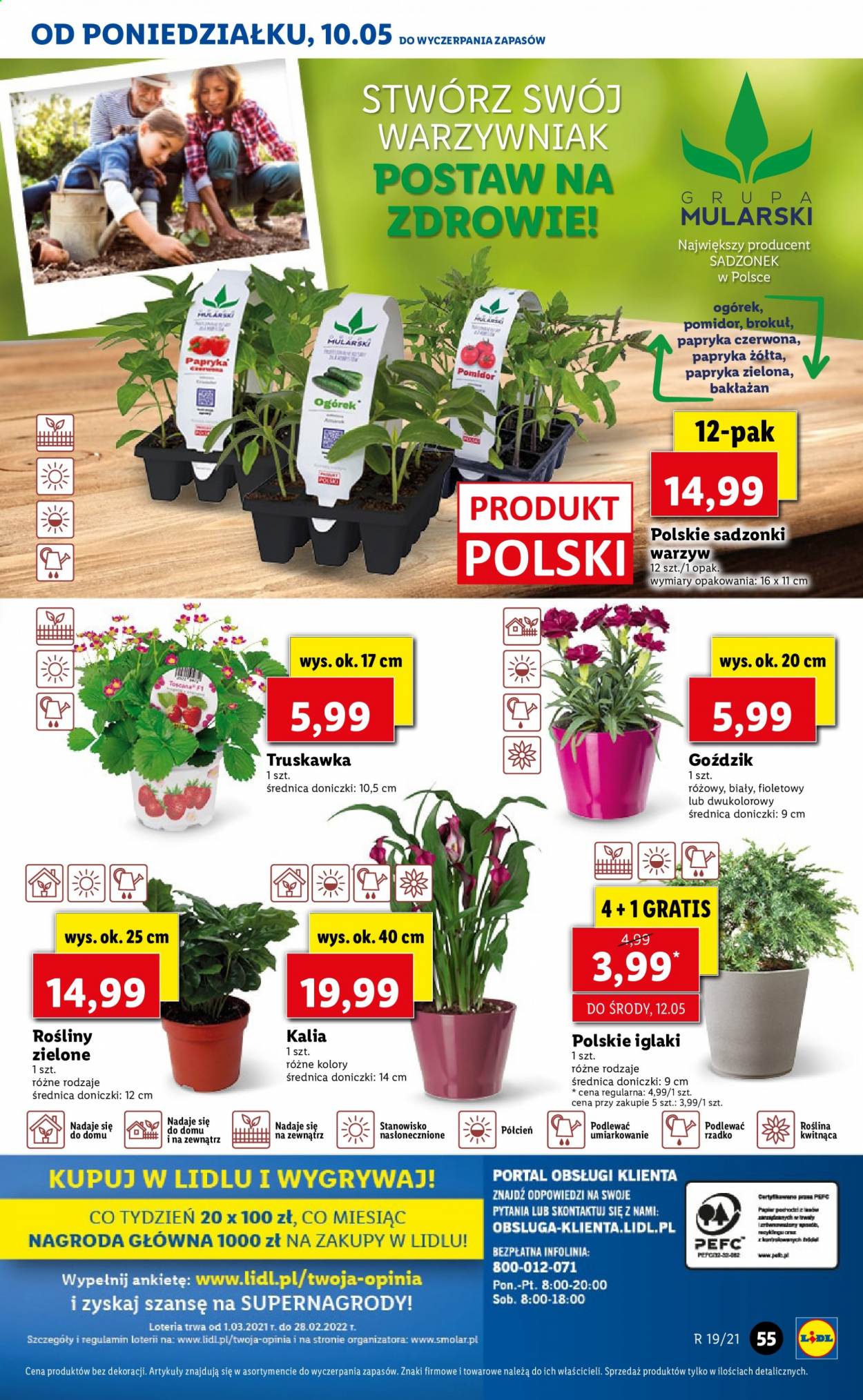 Gazetka Lidl - 10.05.2021 - 12.05.2021. Strona 55