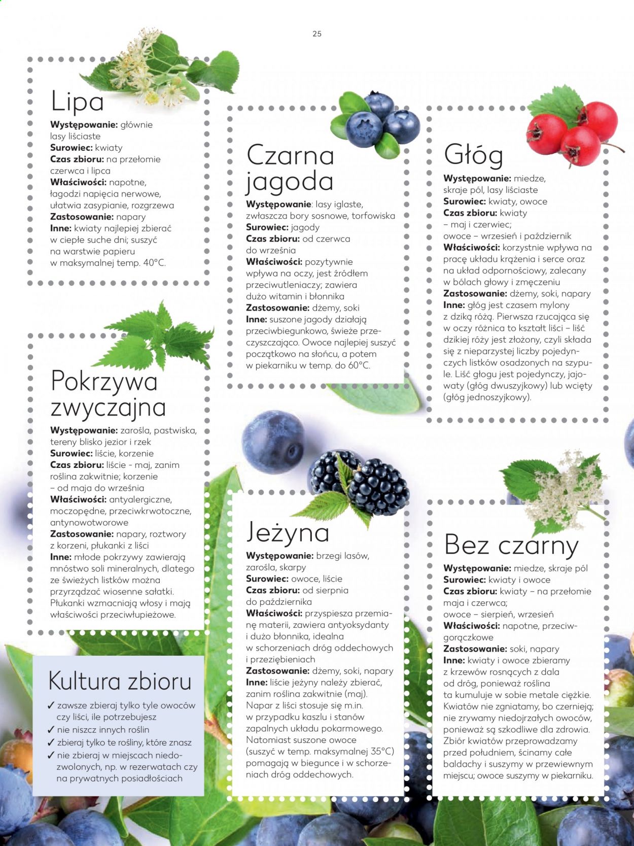Gazetka Kaufland - 11.05.2021 - 30.08.2021. Strona 25