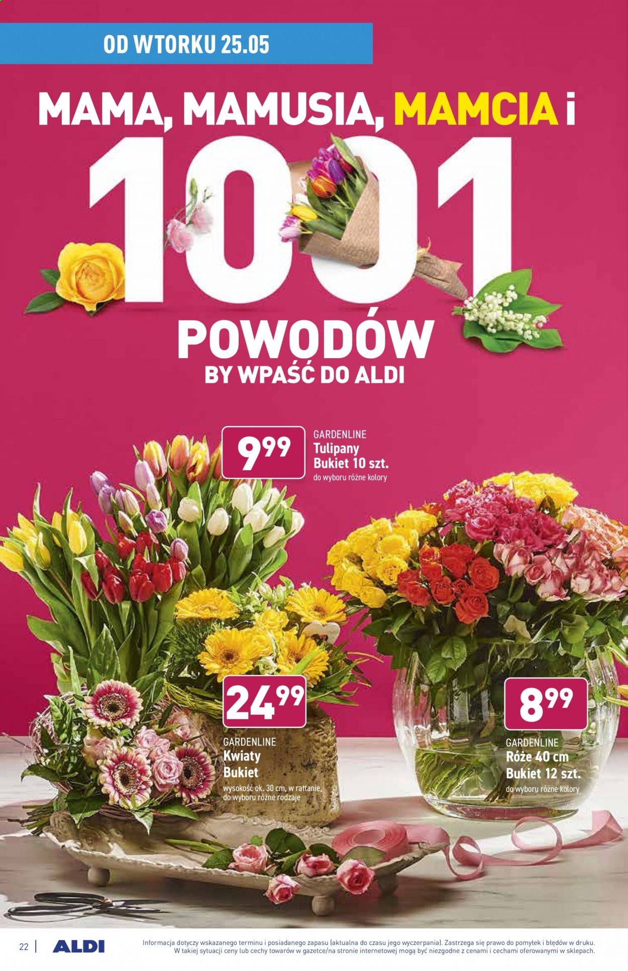 Gazetka ALDI - 24.05.2021 - 29.05.2021. Strona 22