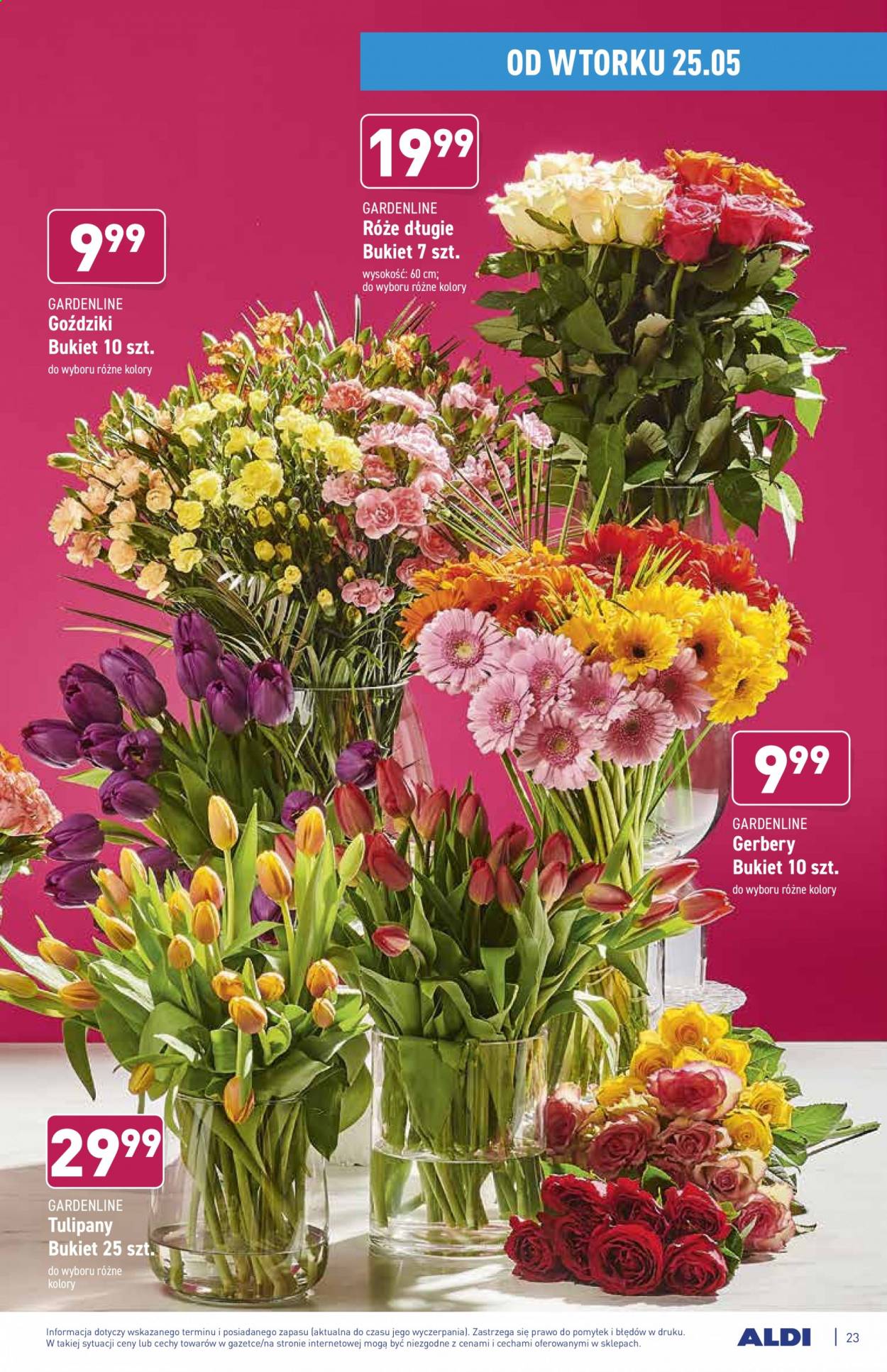 Gazetka ALDI - 24.05.2021 - 29.05.2021. Strona 23