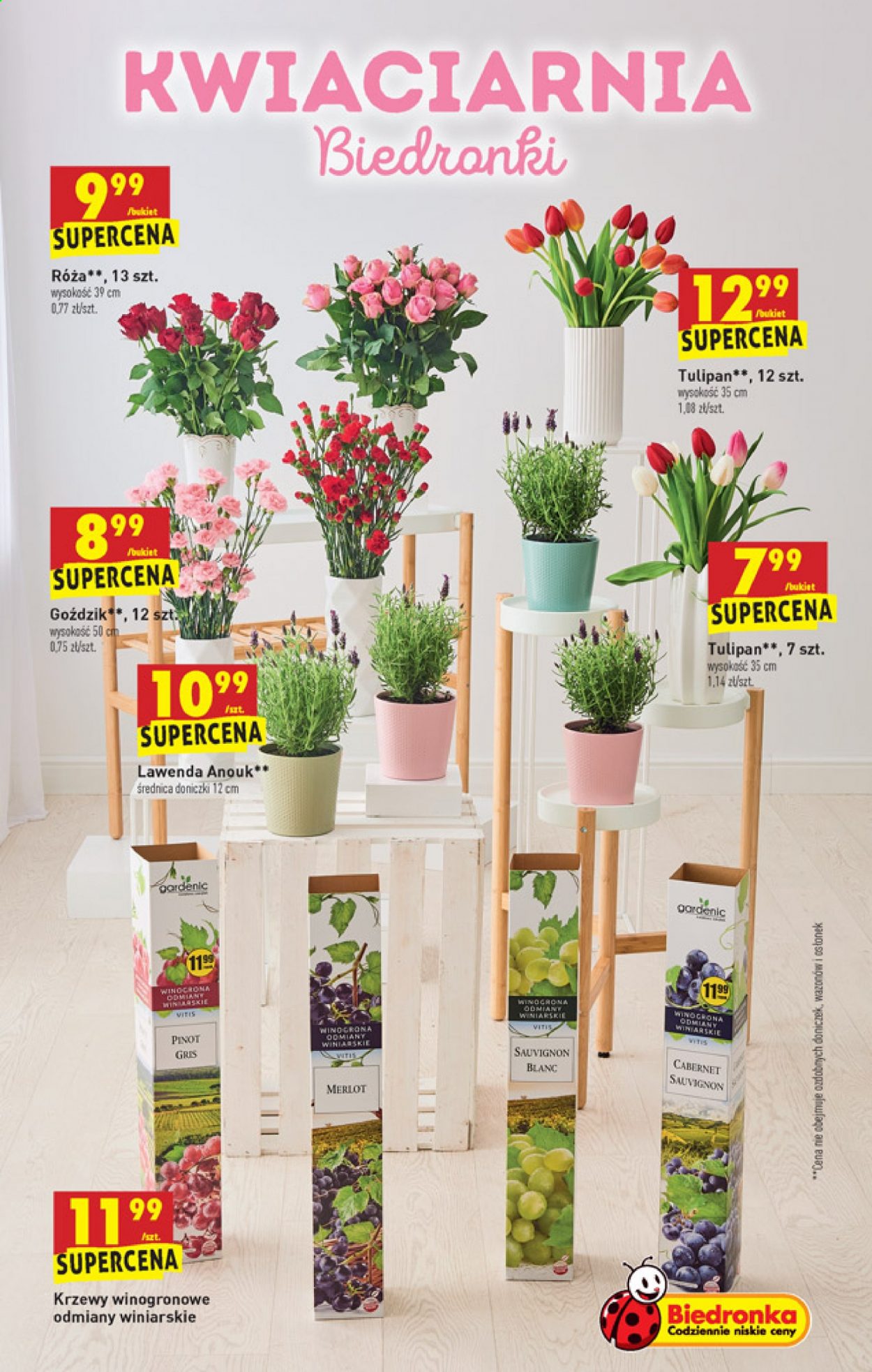 Gazetka Biedronka - 27.05.2021 - 2.06.2021. Strona 13
