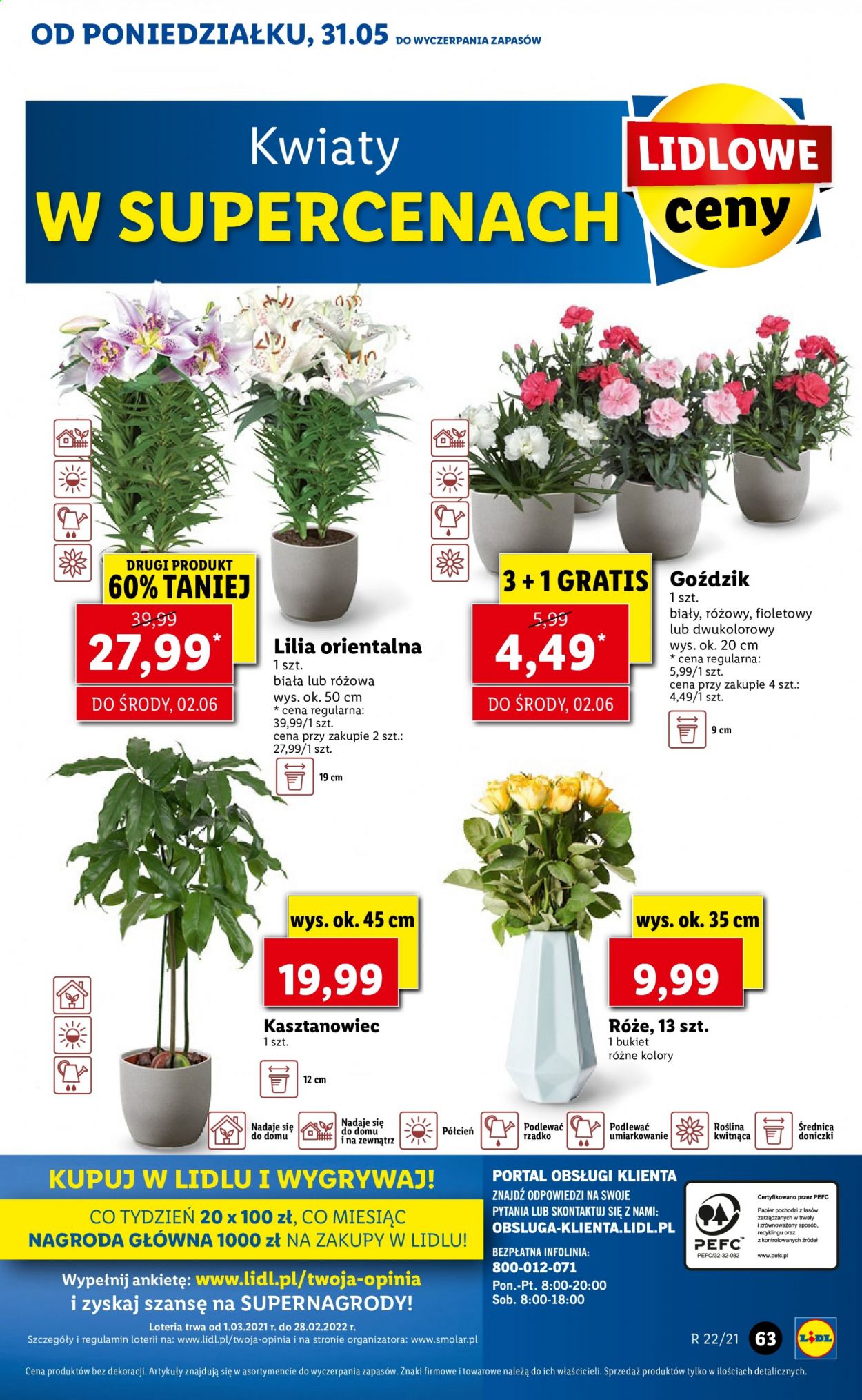 Gazetka Lidl - 31.05.2021 - 2.06.2021. Strona 63