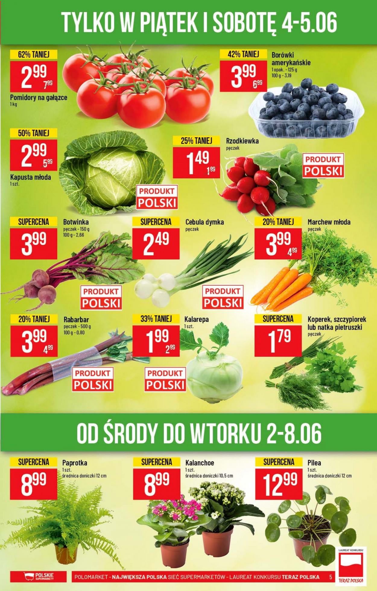 Gazetka Polomarket - 2.06.2021 - 8.06.2021. Strona 5