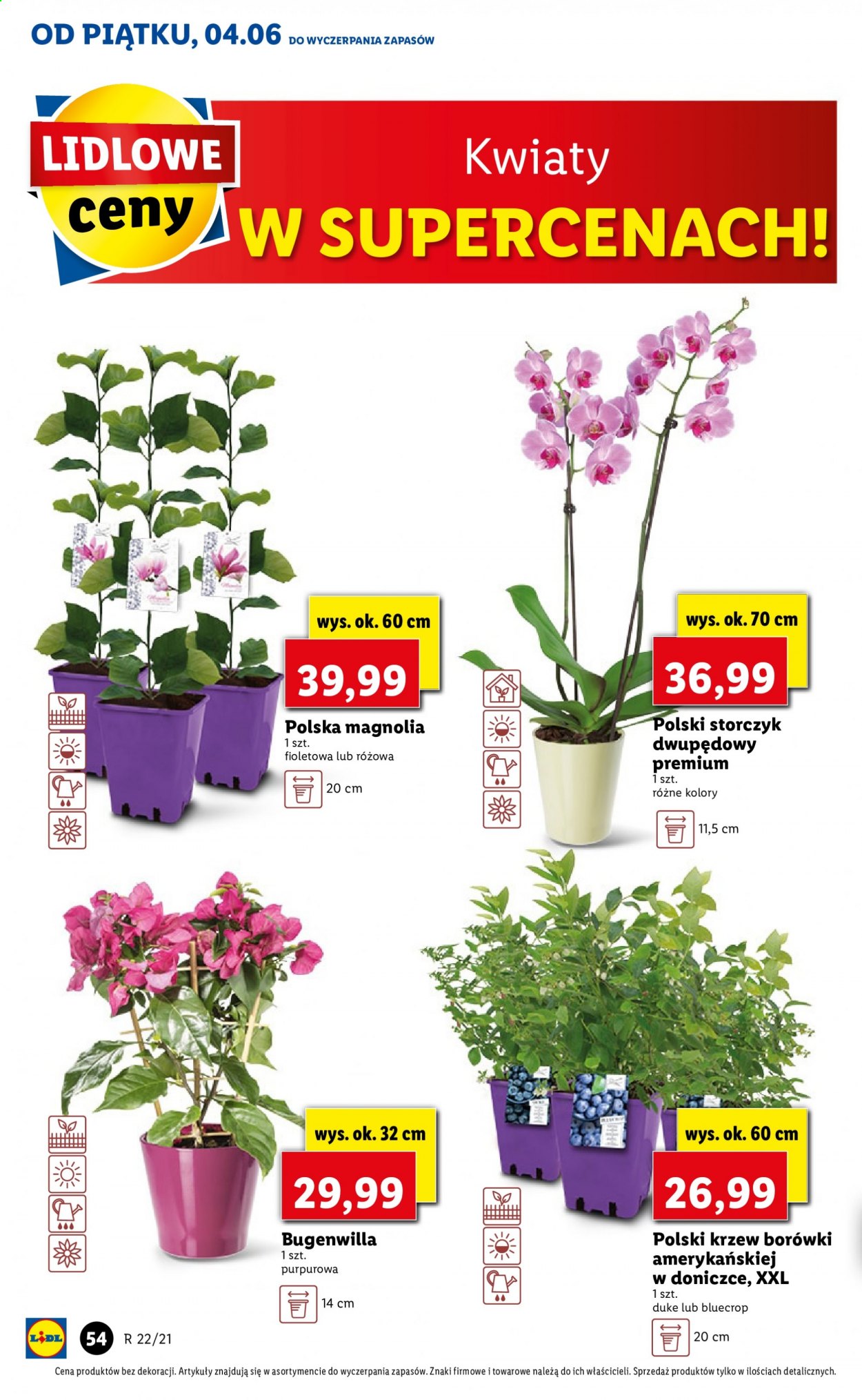 Gazetka Lidl - 4.06.2021 - 5.06.2021. Strona 54
