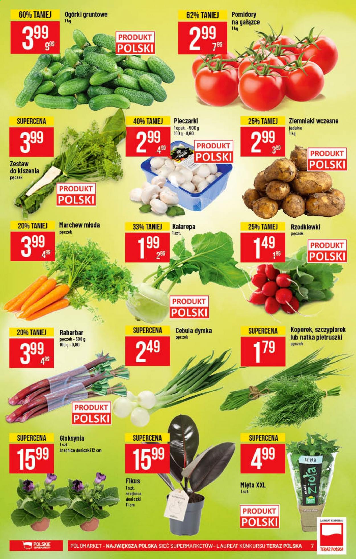 Gazetka Polomarket - 9.06.2021 - 15.06.2021. Strona 7