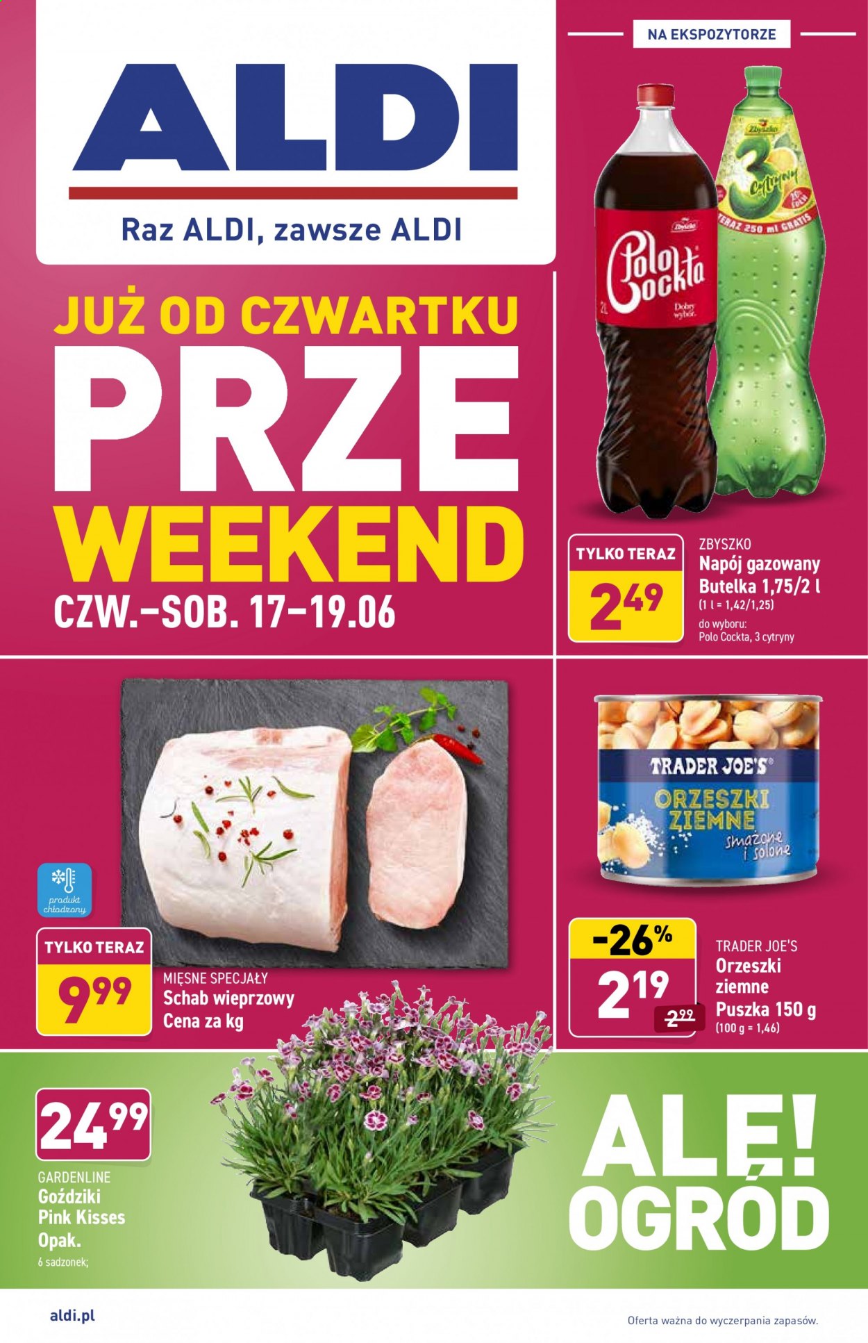 Gazetka ALDI - 17.06.2021 - 19.06.2021. Strona 1