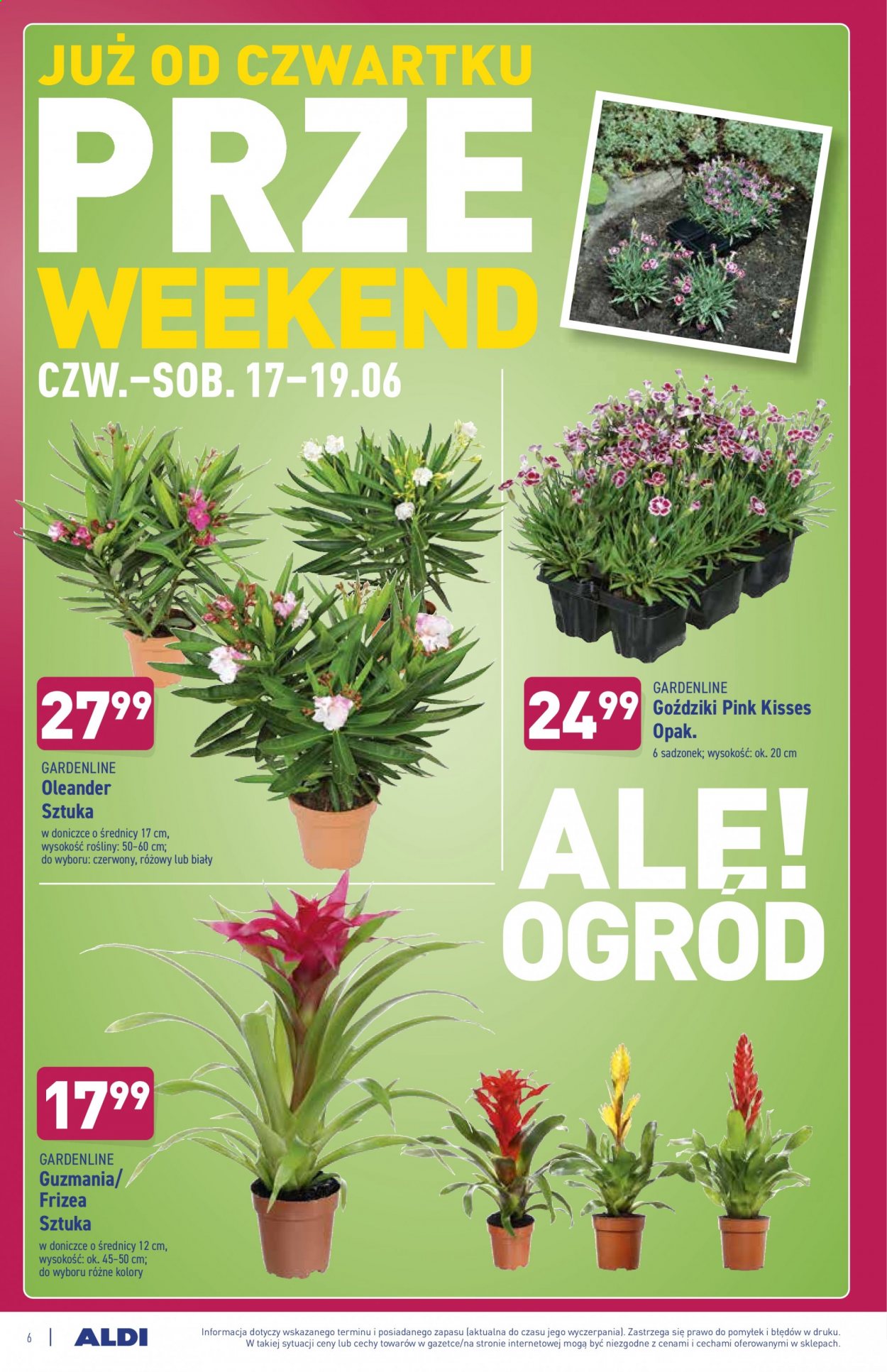 Gazetka ALDI - 17.06.2021 - 19.06.2021. Strona 6
