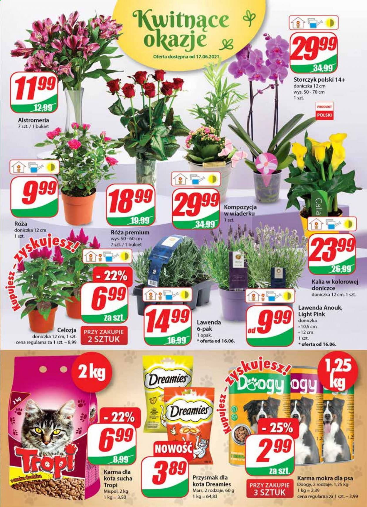 Gazetka Dino - 16.06.2021 - 22.06.2021. Strona 15