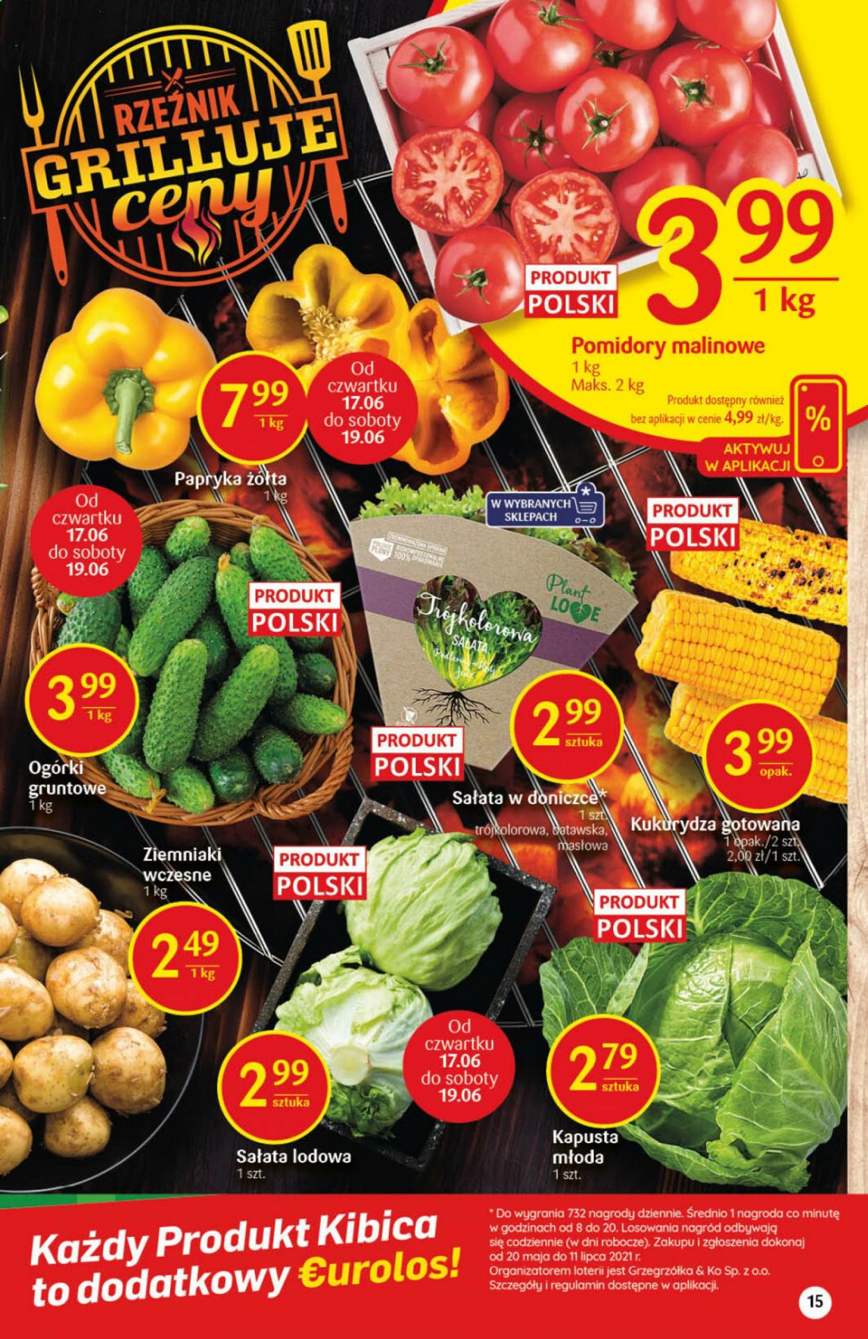 Gazetka Delikatesy Centrum - 17.06.2021 - 23.06.2021. Strona 15