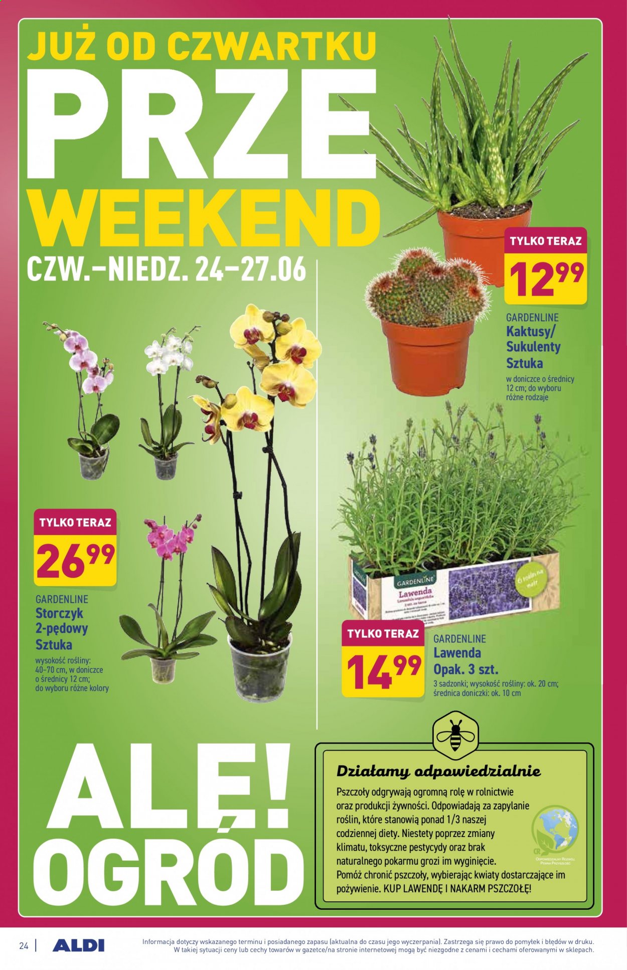 Gazetka ALDI - 21.06.2021 - 26.06.2021. Strona 24