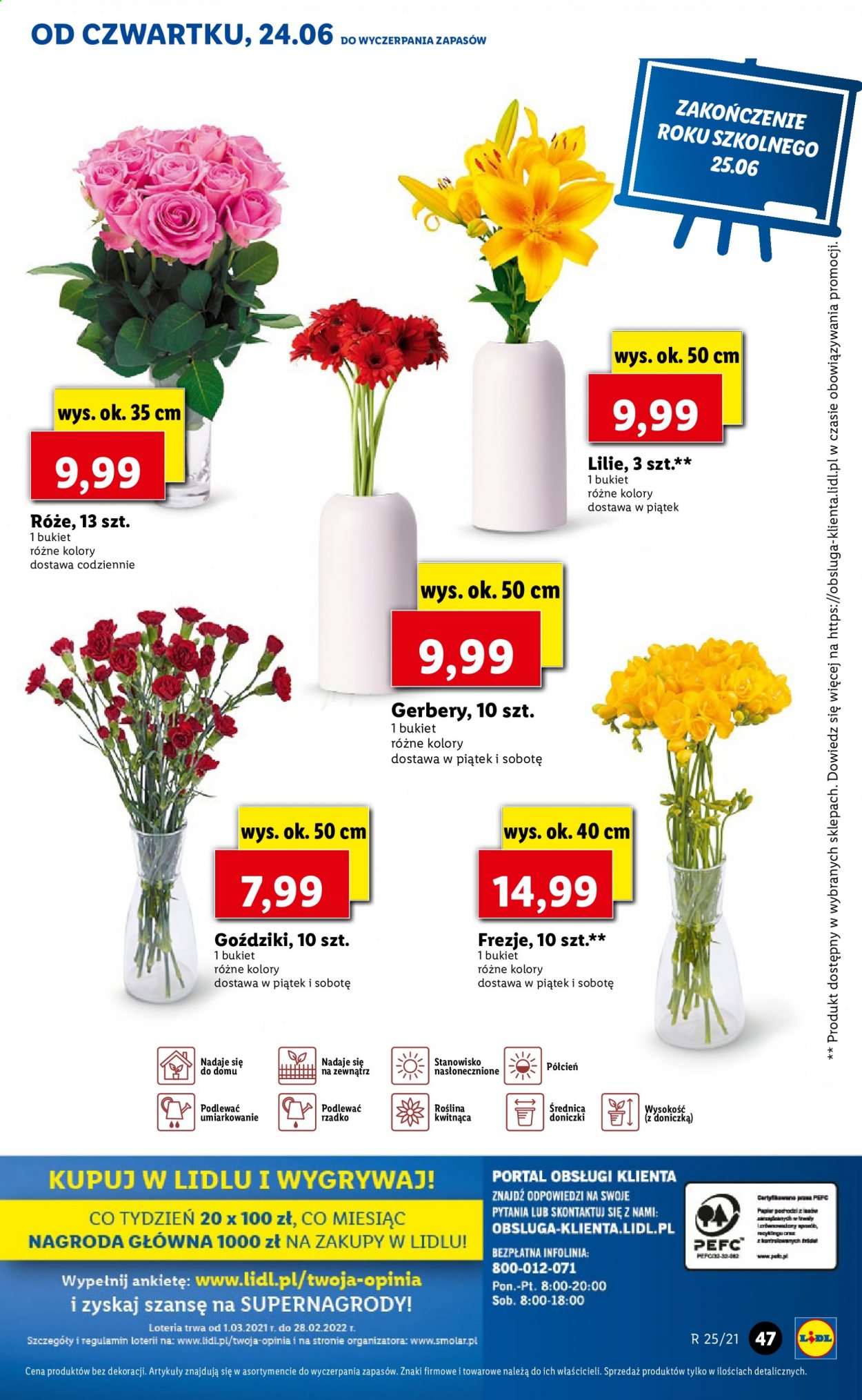 Gazetka Lidl - 24.06.2021 - 27.06.2021. Strona 47