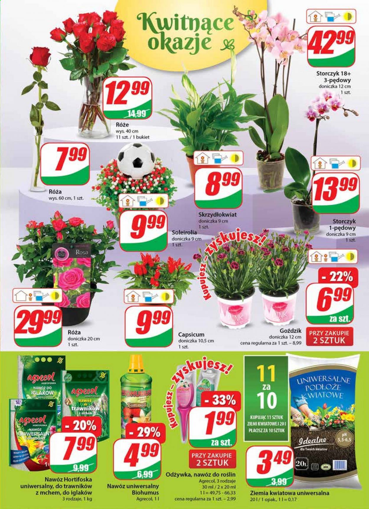Gazetka Dino - 23.06.2021 - 29.06.2021. Strona 19