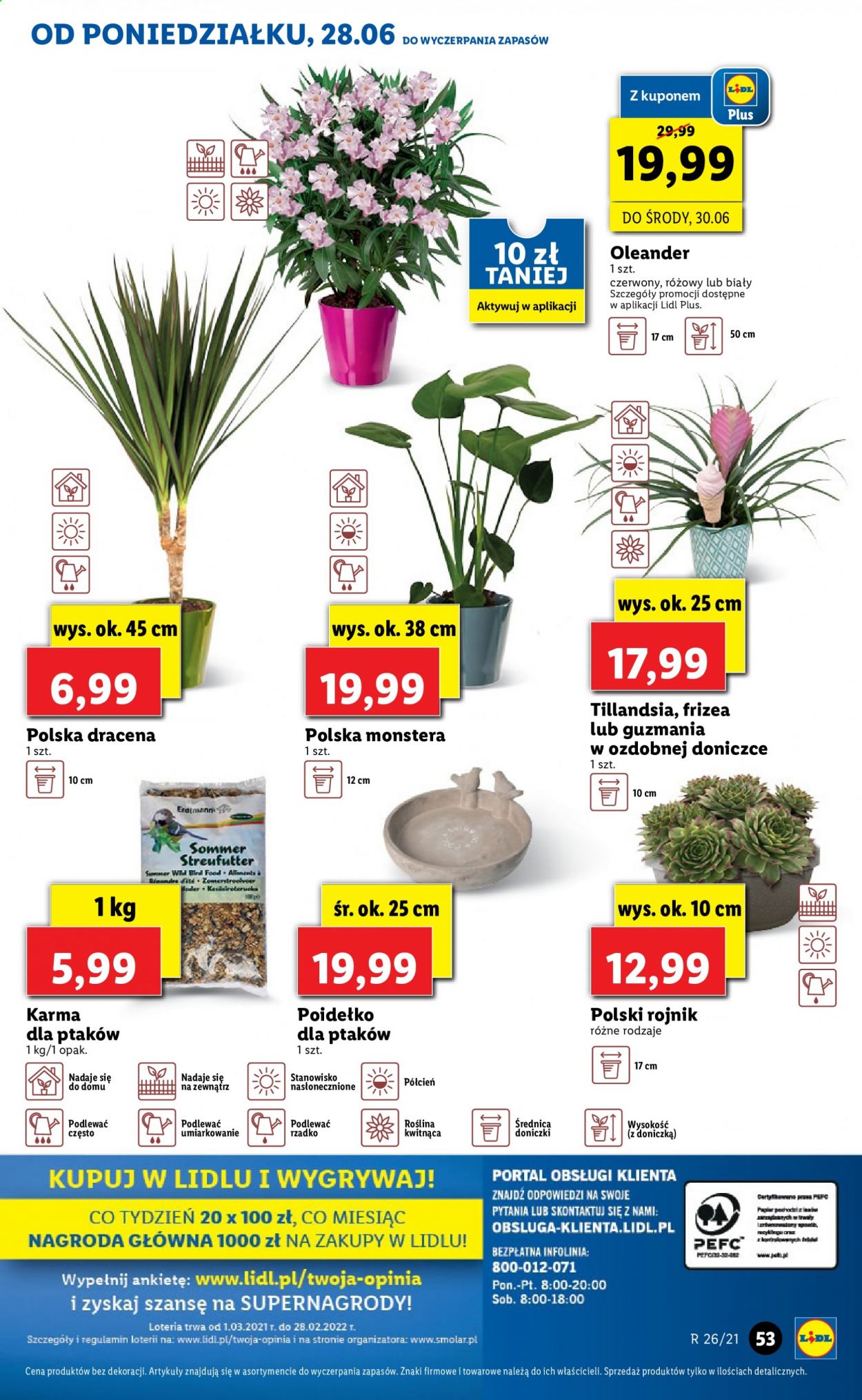 Gazetka Lidl - 28.06.2021 - 30.06.2021. Strona 53