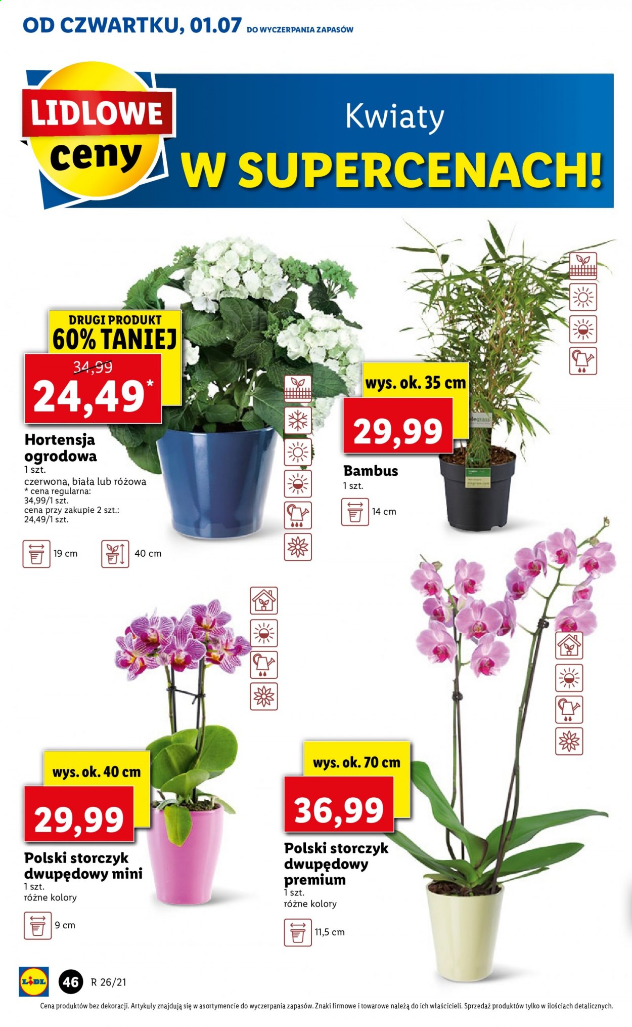 Gazetka Lidl - 1.07.2021 - 3.07.2021. Strona 46