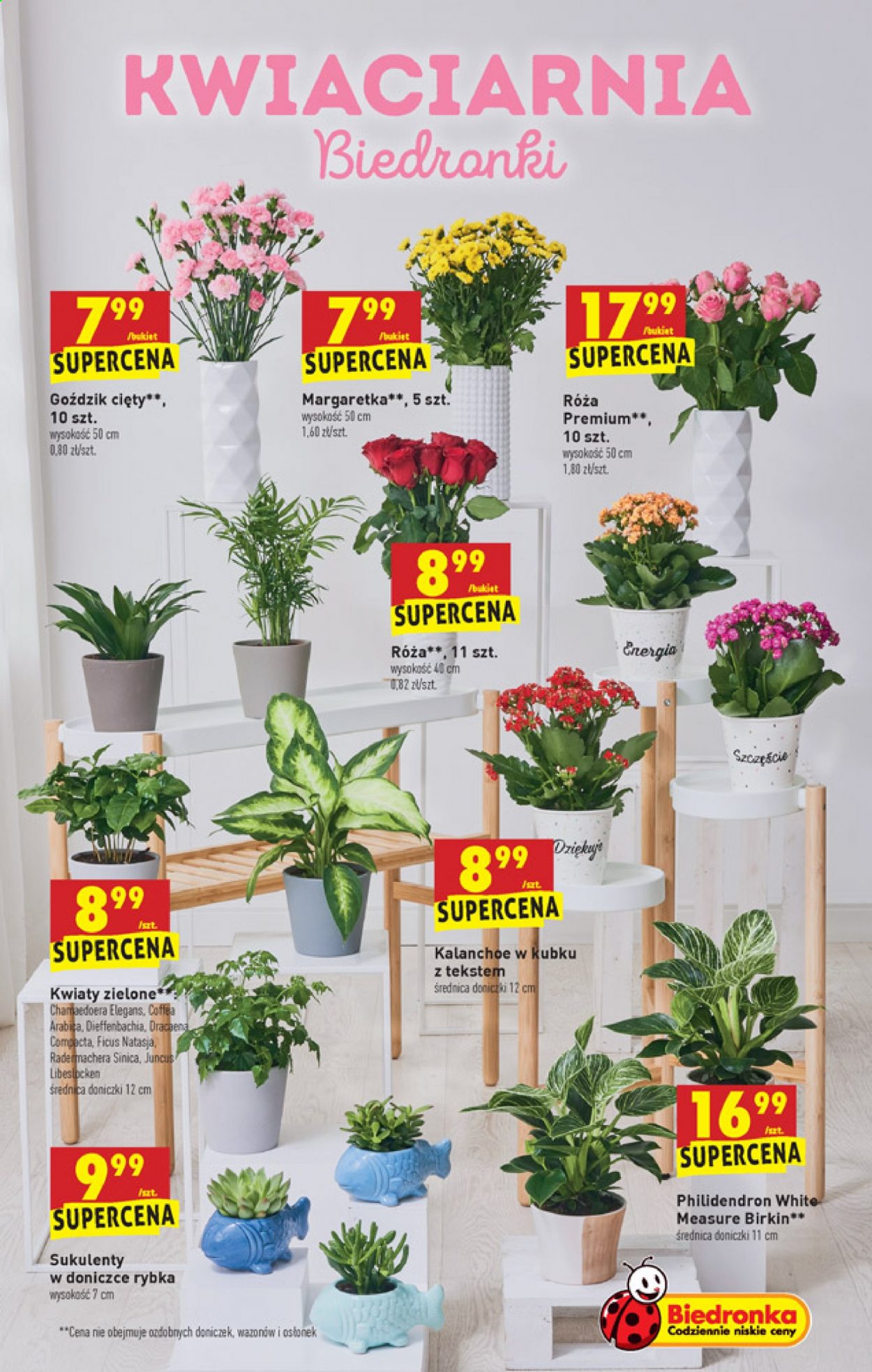 Gazetka Biedronka - 8.07.2021 - 14.07.2021. Strona 11