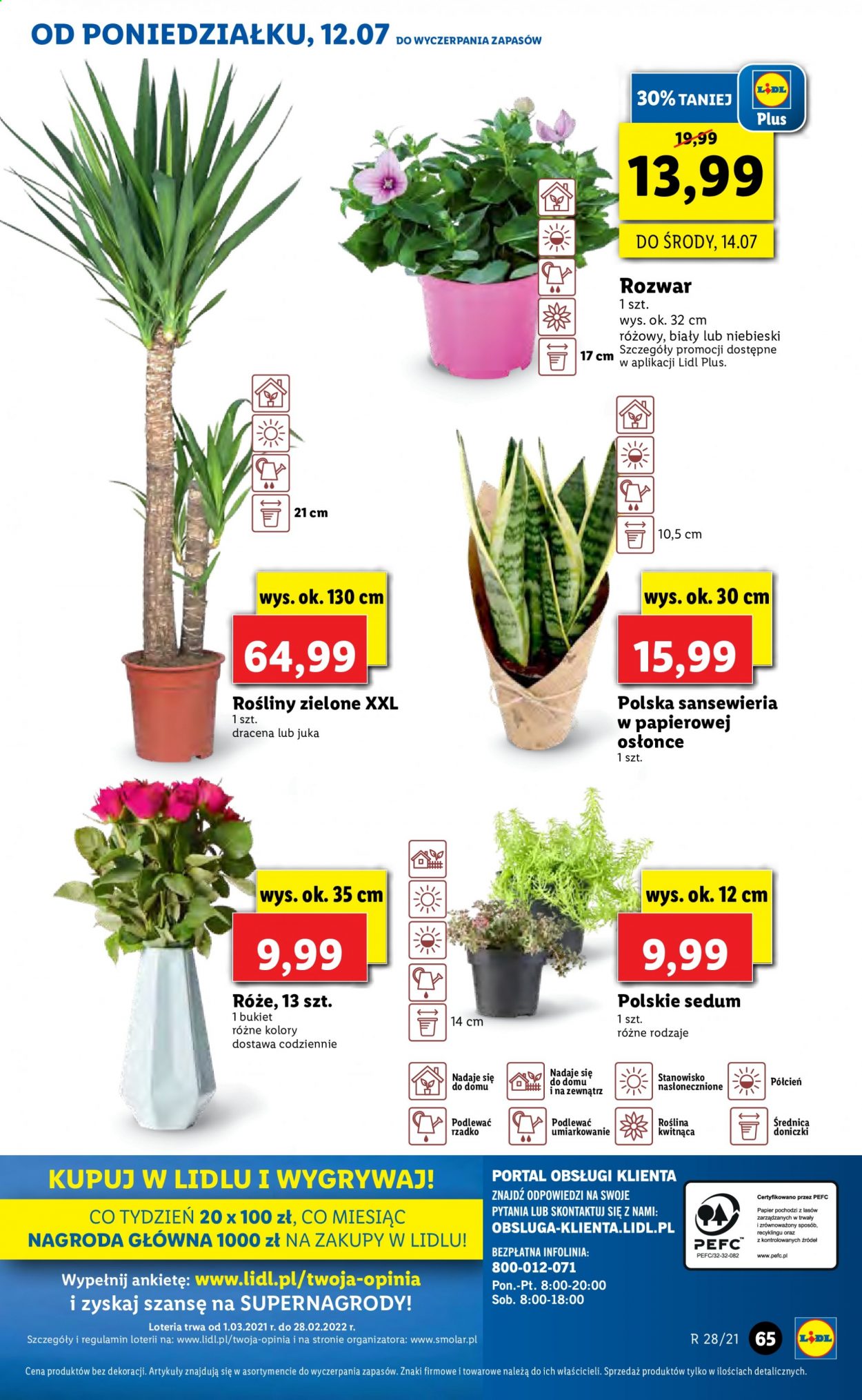 Gazetka Lidl - 12.07.2021 - 14.07.2021. Strona 65