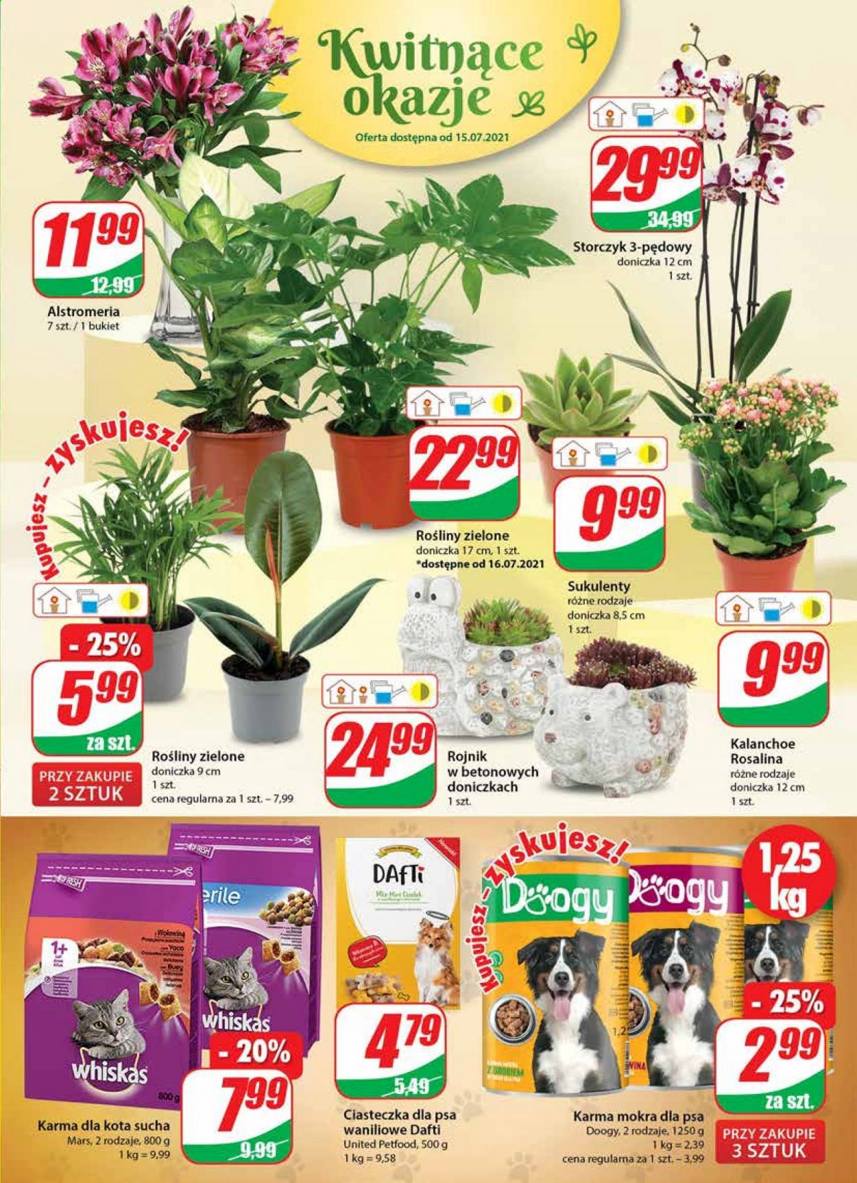 Gazetka Dino - 14.07.2021 - 20.07.2021. Strona 15
