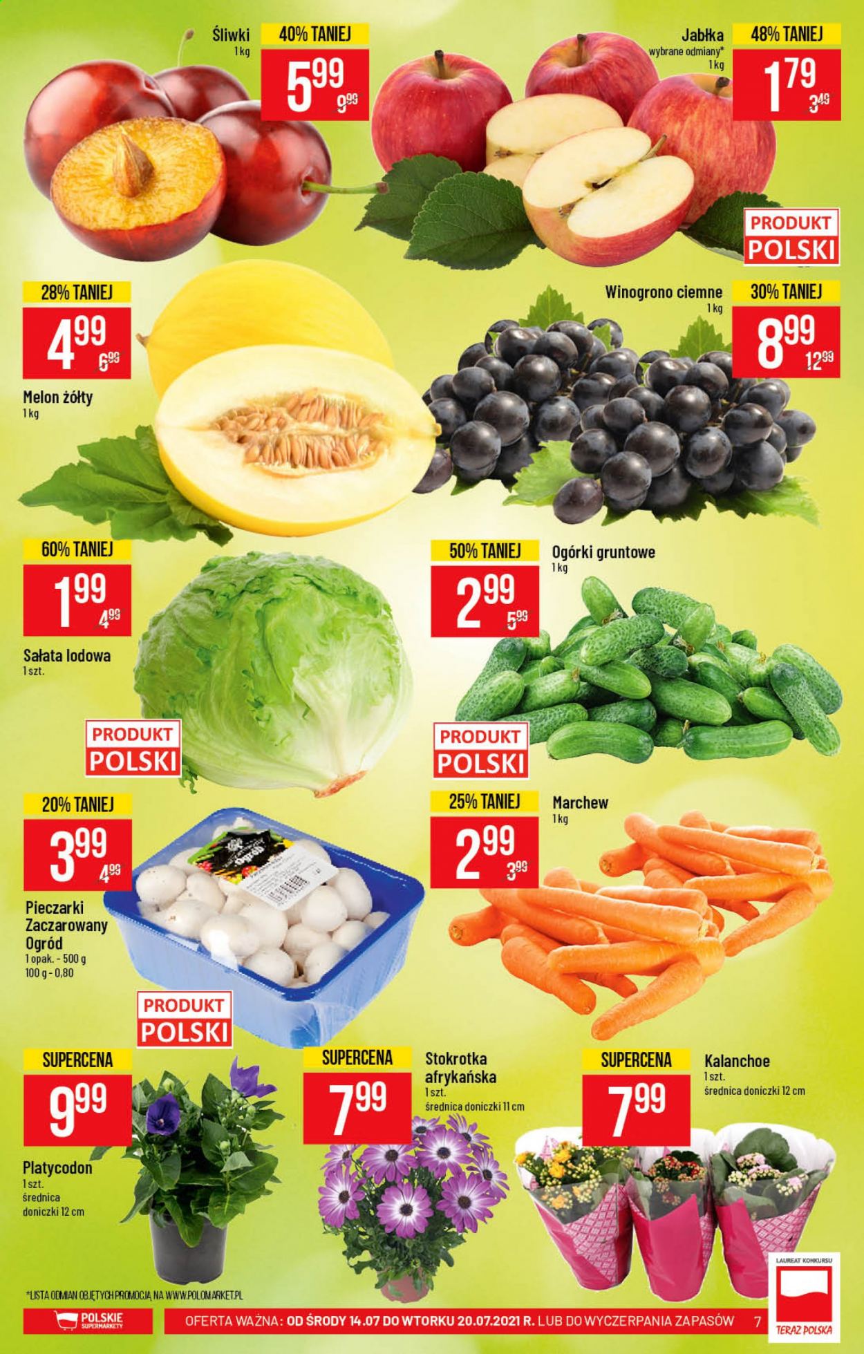 Gazetka Polomarket - 14.07.2021 - 20.07.2021. Strona 7