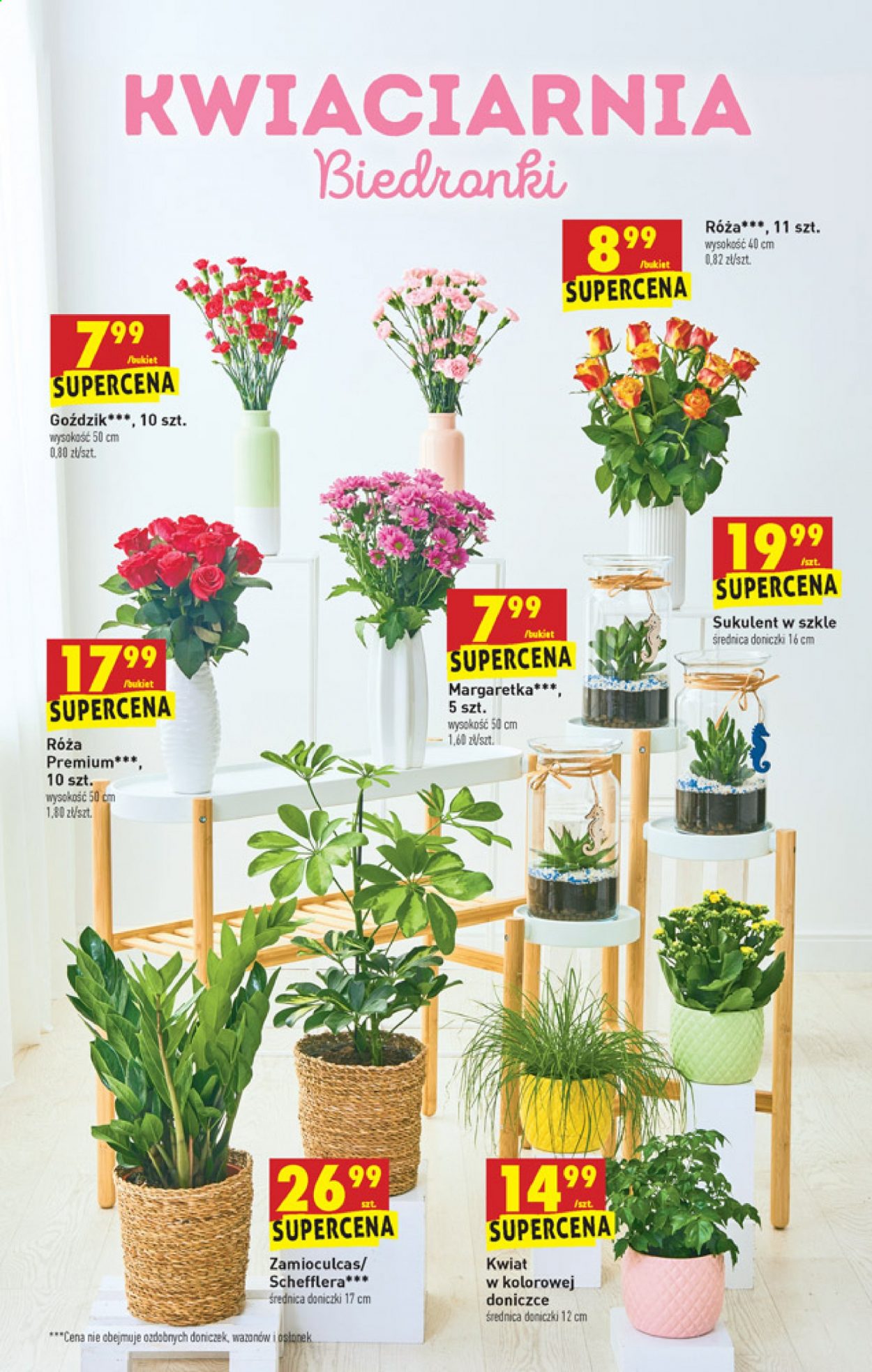 Gazetka Biedronka - 15.07.2021 - 21.07.2021. Strona 9