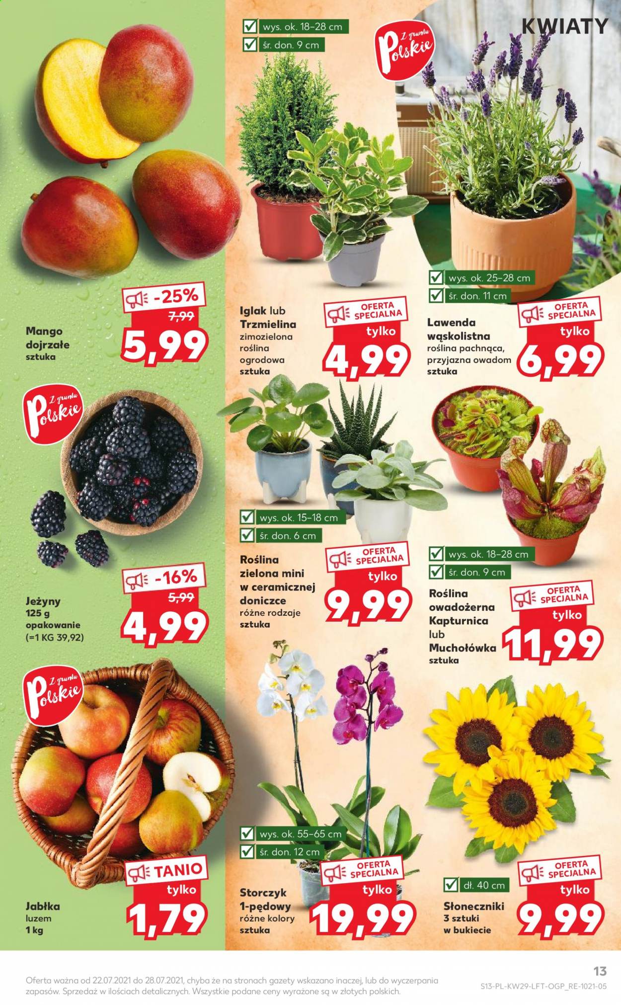 Gazetka Kaufland - 22.07.2021 - 28.07.2021. Strona 13
