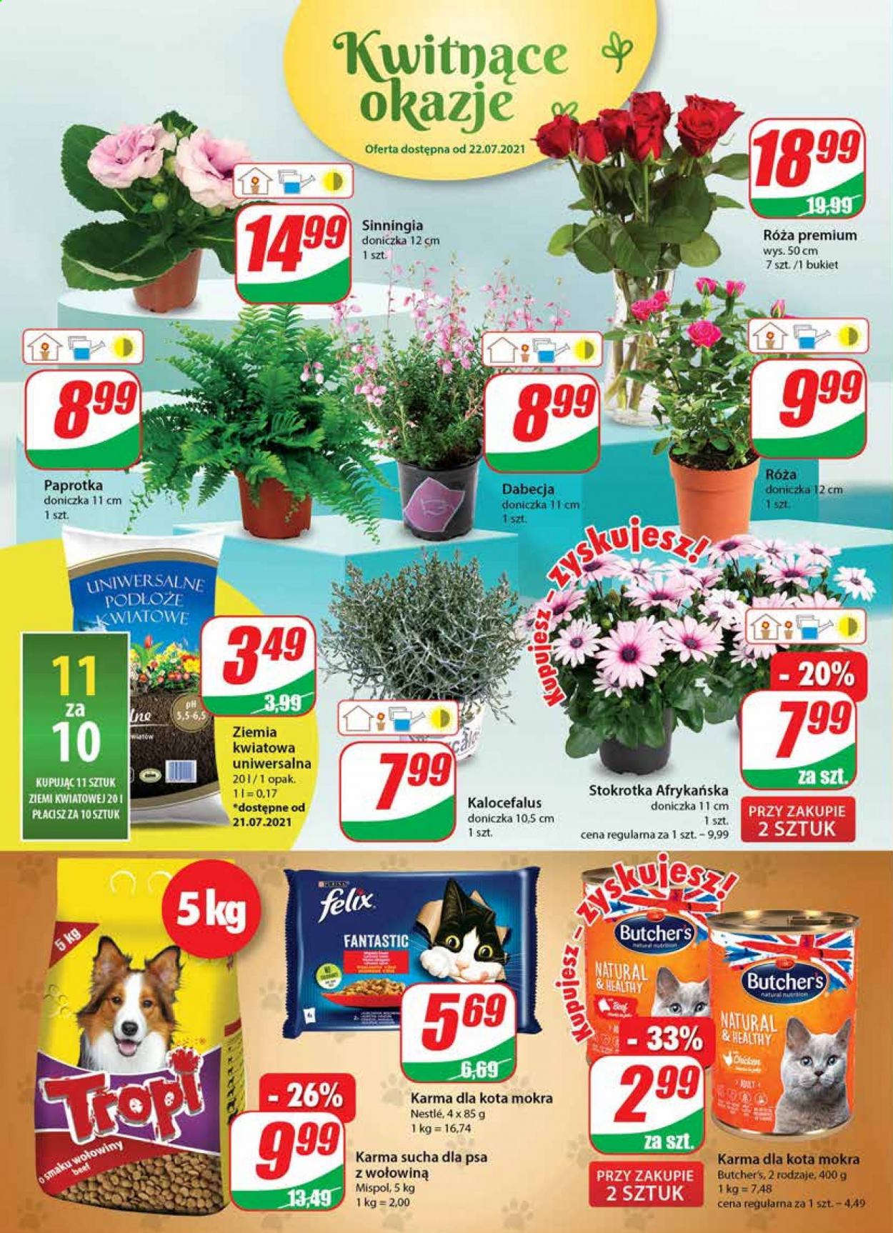 Gazetka Dino - 21.07.2021 - 27.07.2021. Strona 16
