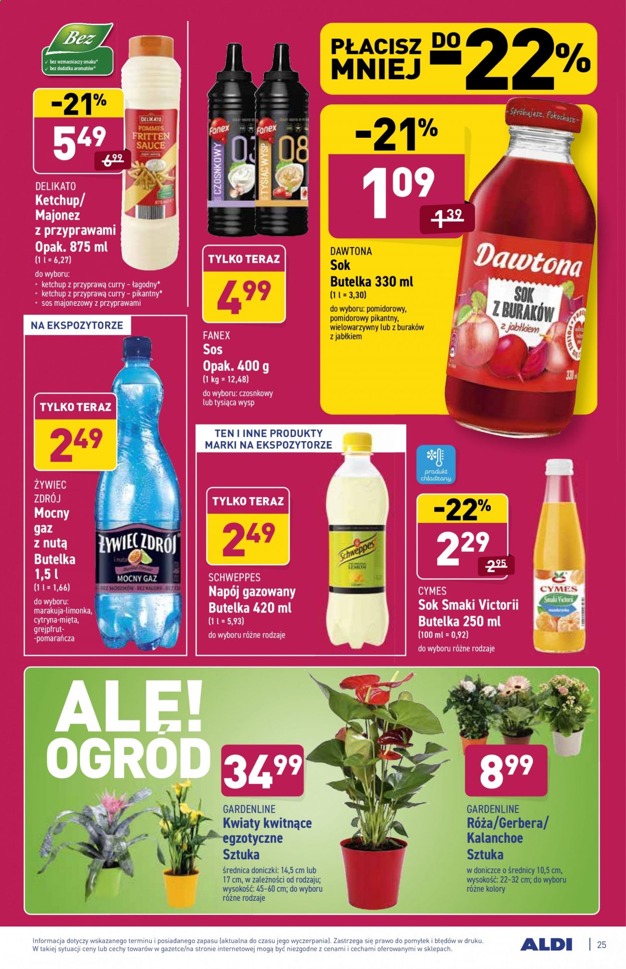 Gazetka ALDI - 2.08.2021 - 7.08.2021. Strona 25