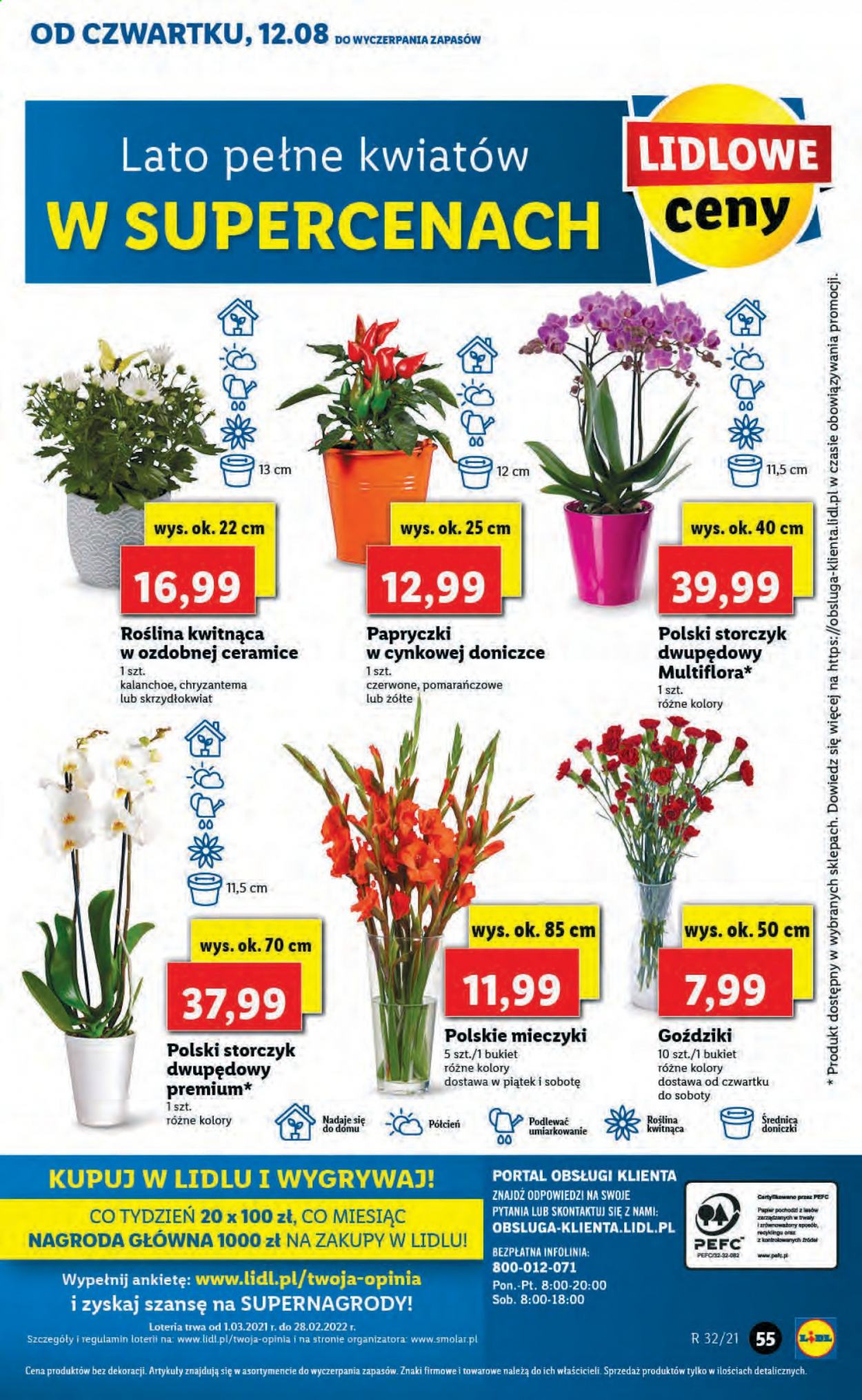 Gazetka Lidl - 12.08.2021 - 14.08.2021. Strona 55