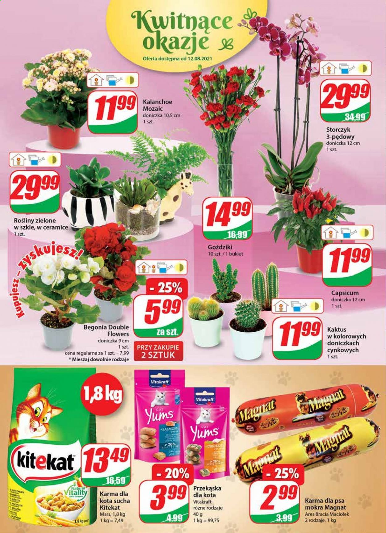 Gazetka Dino - 11.08.2021 - 17.08.2021. Strona 16