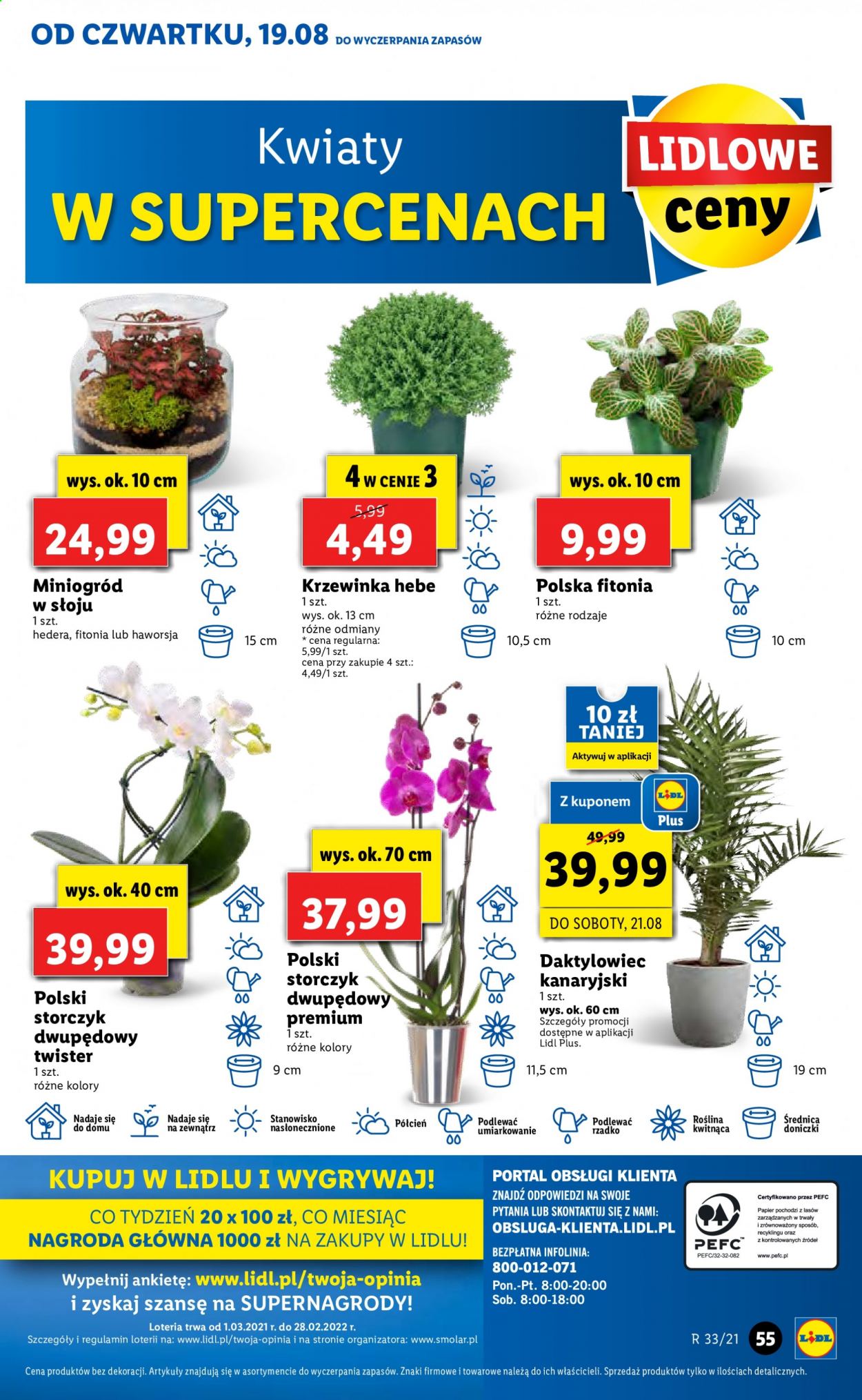 Gazetka Lidl - 19.08.2021 - 21.08.2021. Strona 55