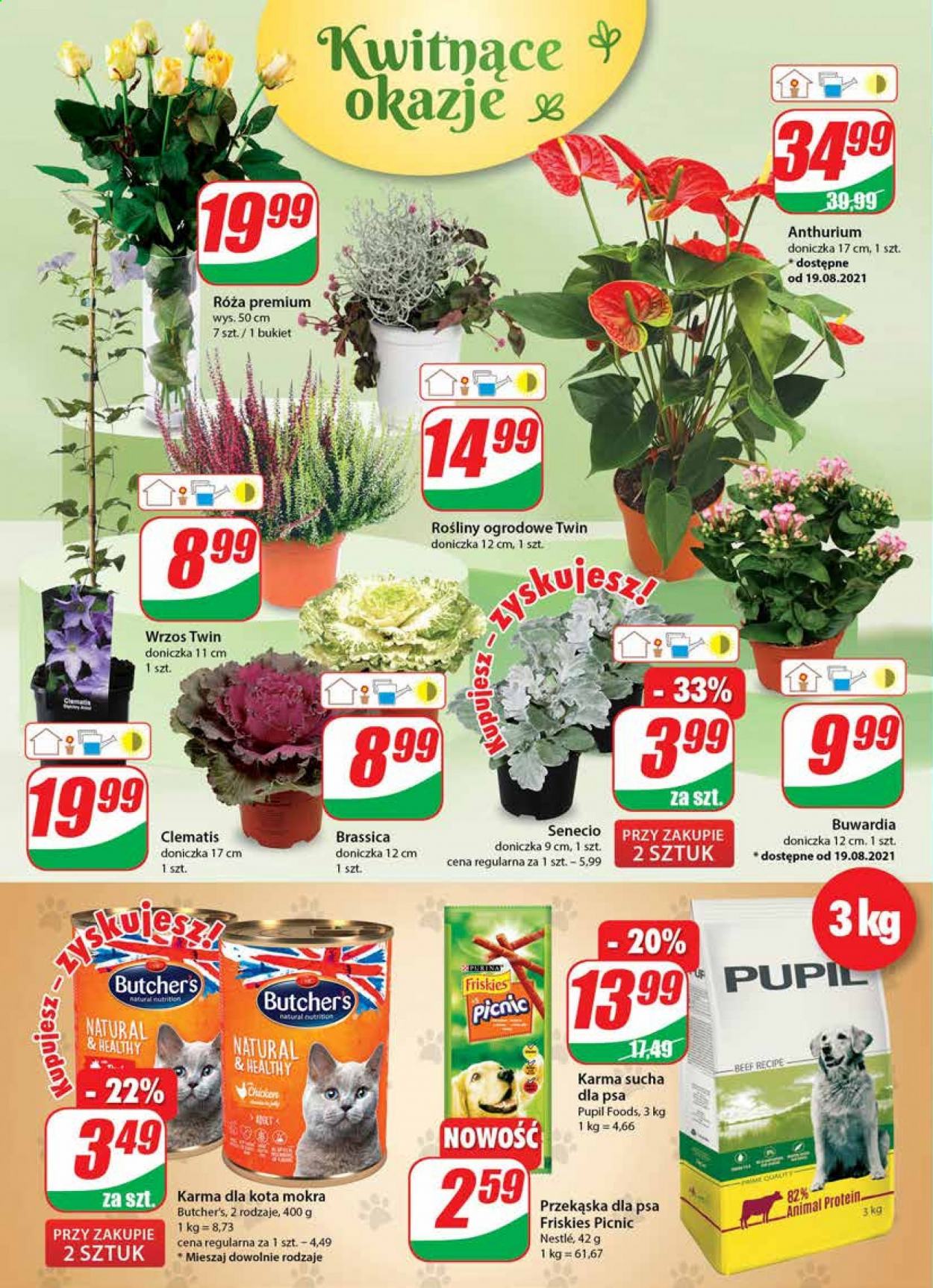 Gazetka Dino - 18.08.2021 - 24.08.2021. Strona 16