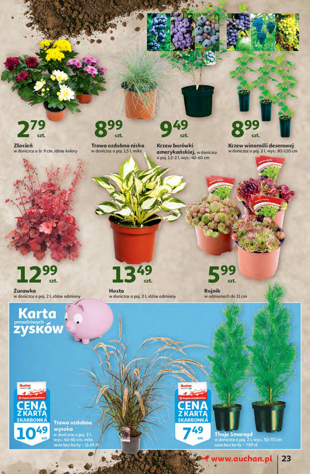 Gazetka Auchan - 19.08.2021 - 25.08.2021. Strona 23