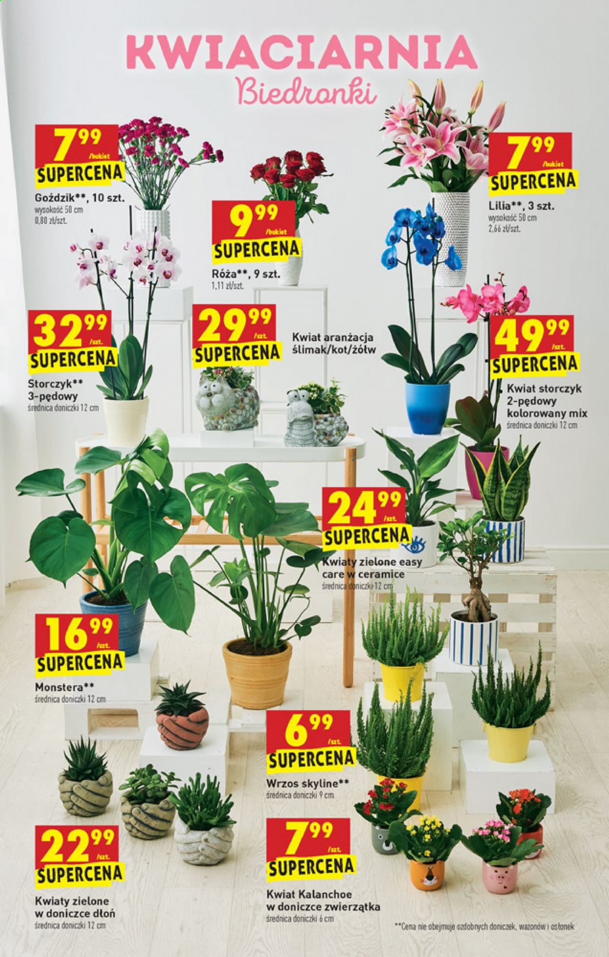 Gazetka Biedronka - 23.08.2021 - 29.08.2021. Strona 13
